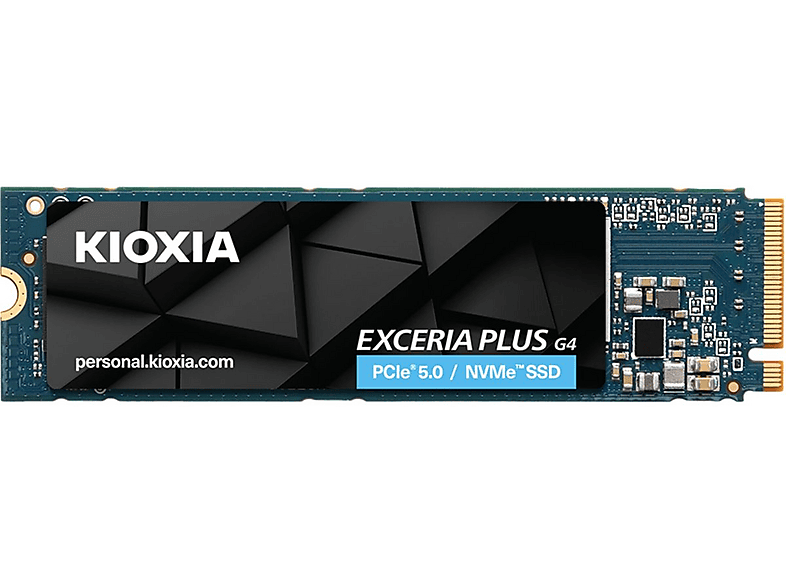 KIOXIA LVD10Z001TG8, 1000 GB, SSD, 0 Zoll, intern