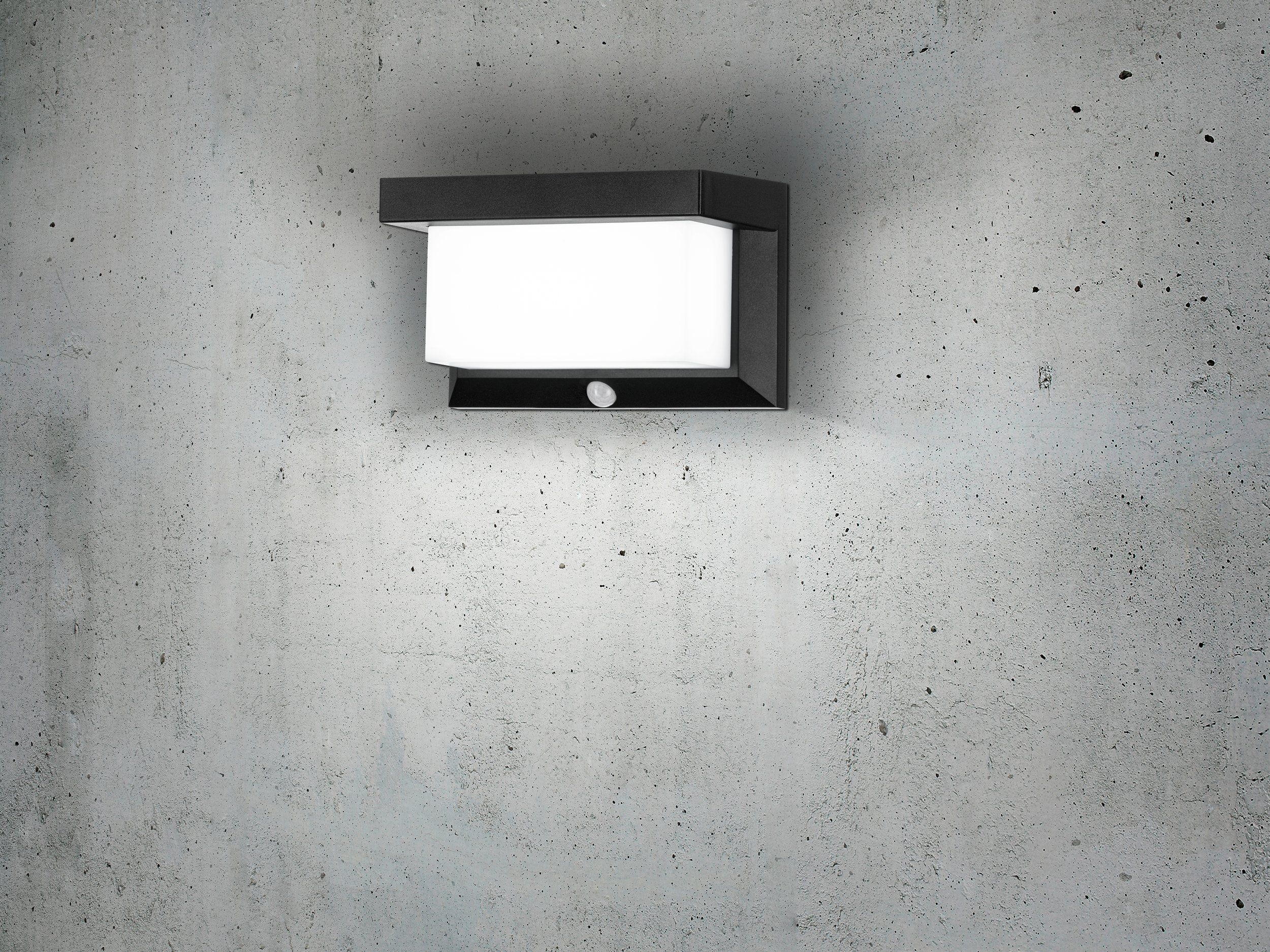 Lámpara de pared exterior negra en una pared de hormigón. Tiene una parte frontal blanca y un sensor.