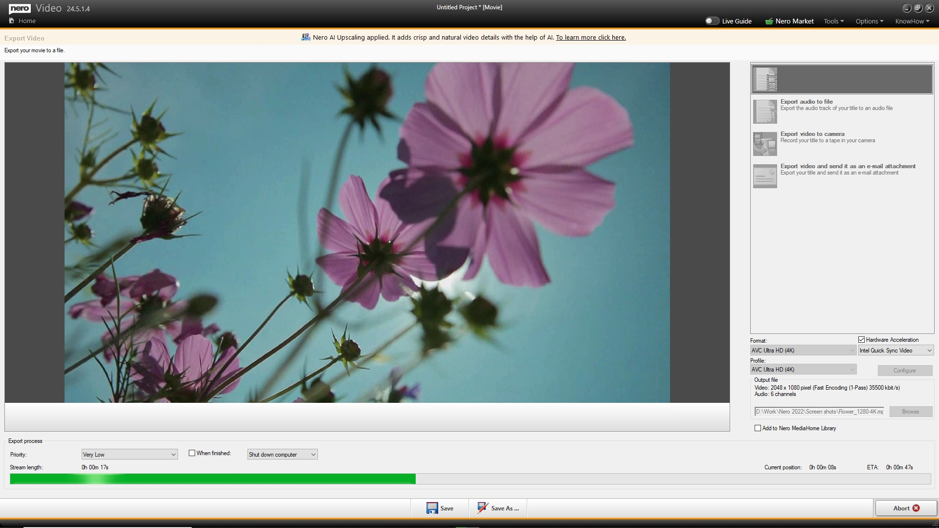 Interfejs oprogramowania do edycji wideo wyświetlający wideo z różowymi kwiatami pod niebieskim niebem.