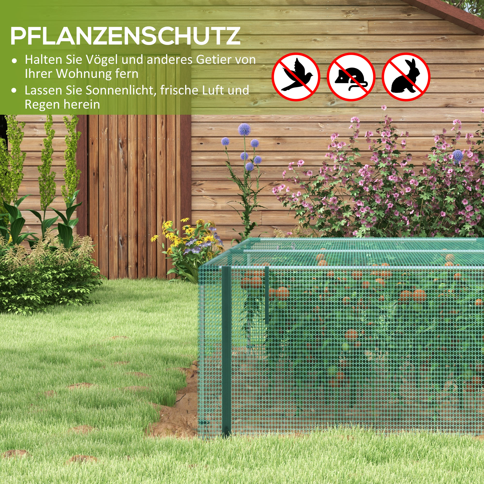 Eine Gartenszene mit einer grünen Maschenpflanzen-Umzäunung und einem Holzschuppen im Hintergrund.