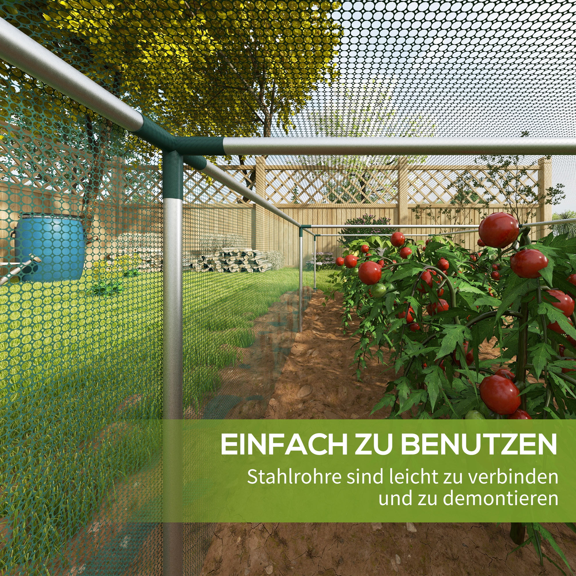 Eine Gartenszene mit Tomatenpflanzen in einem Schutzgehäuse.