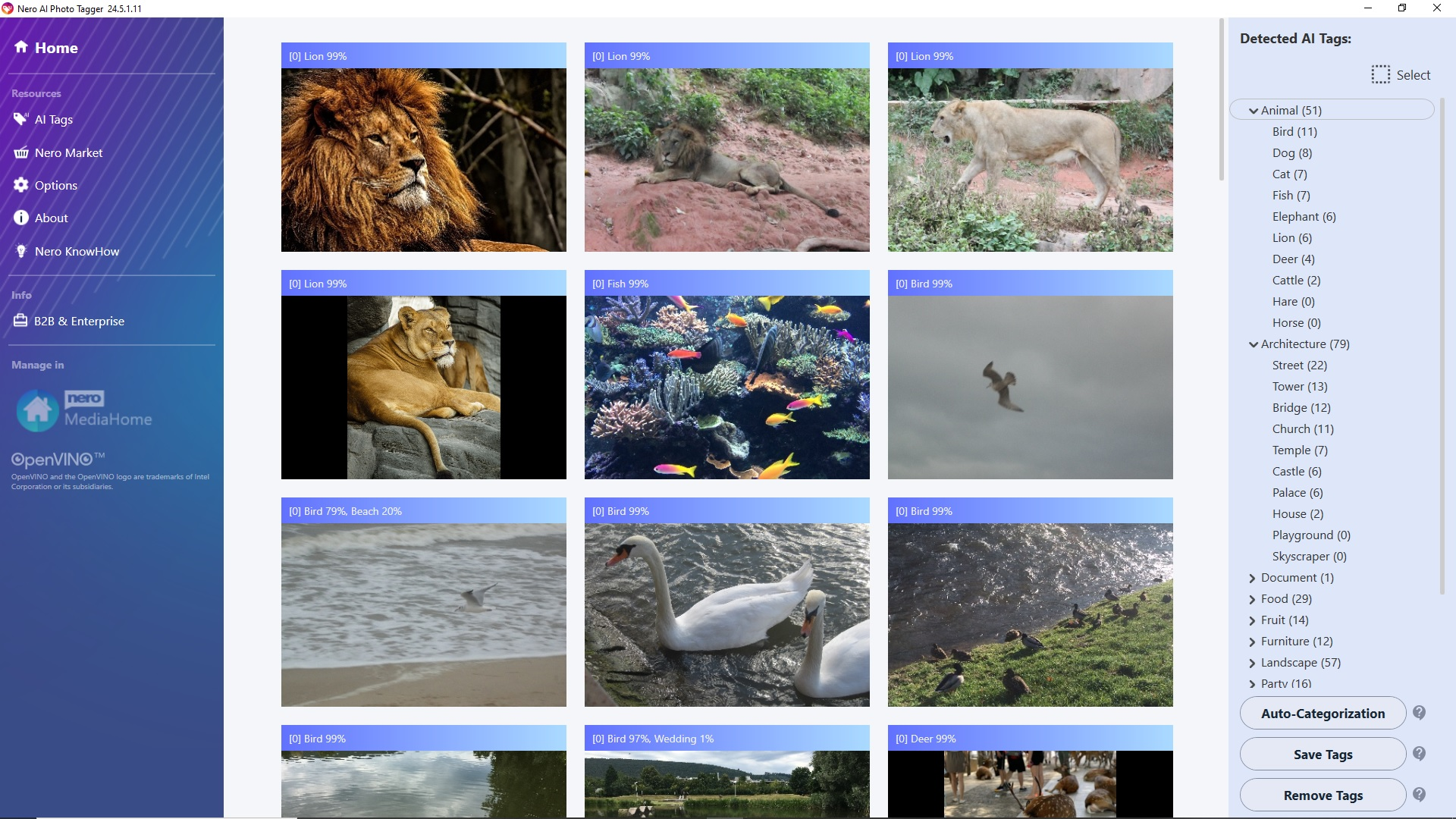 Schermata dell'interfaccia di Nero AI Photo Tagger con anteprime di immagini e suggerimenti di tag AI.