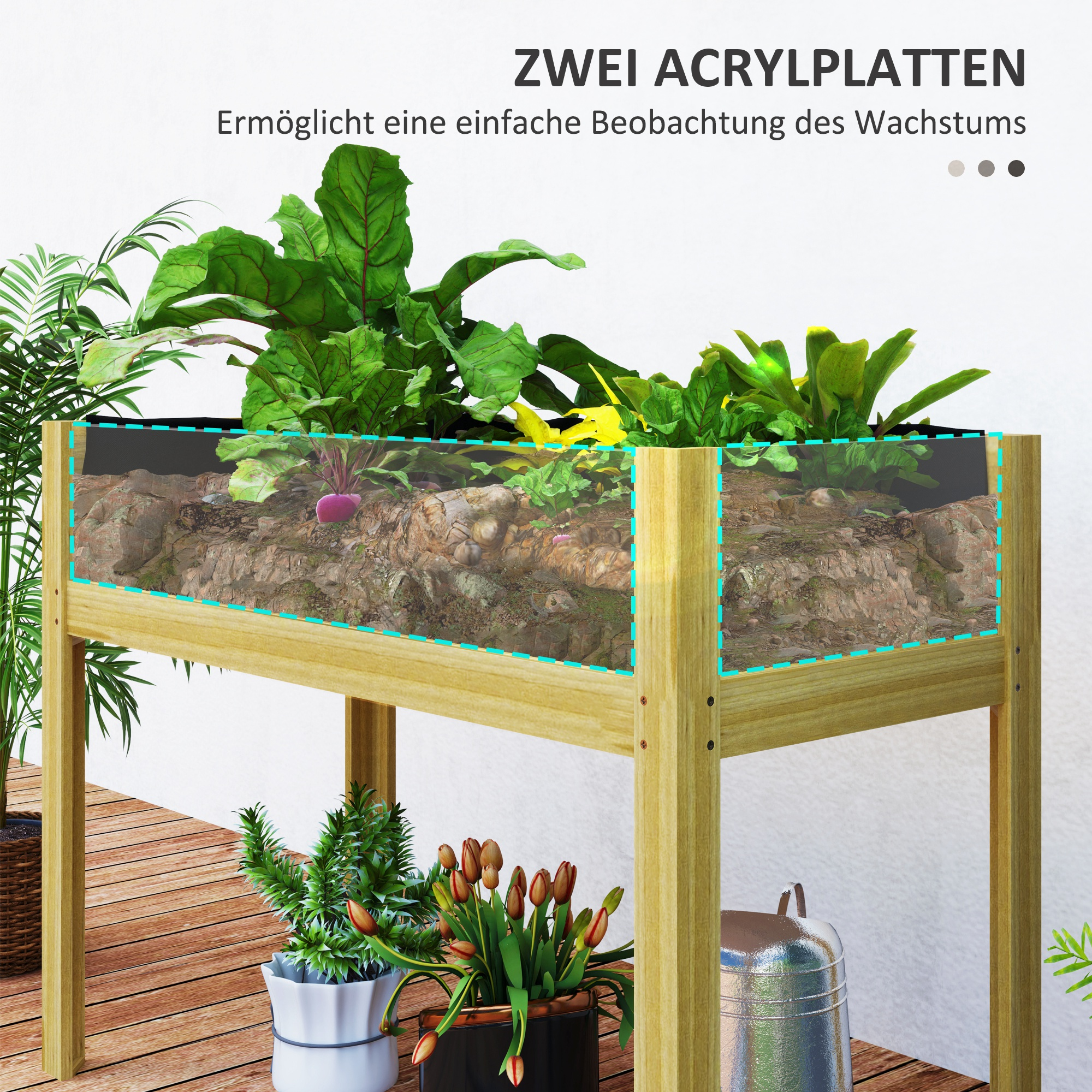 Ein erhöhter Gartenbeet aus Holz mit Pflanzen und hellem Hintergrund. Zwei klare Acrylplatten sind sichtbar.