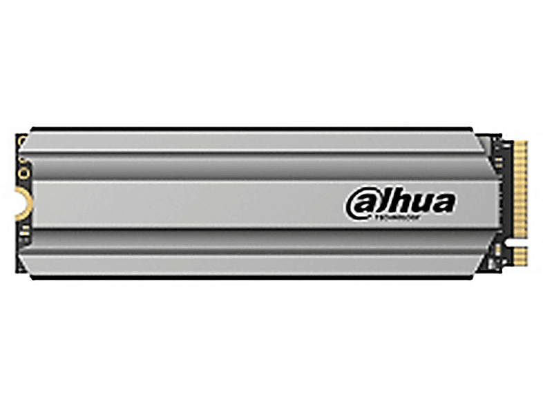 DAHUA TECHNOLOGY DHI-SSD-C900VN256G-B, 256 GB, SSD, intern