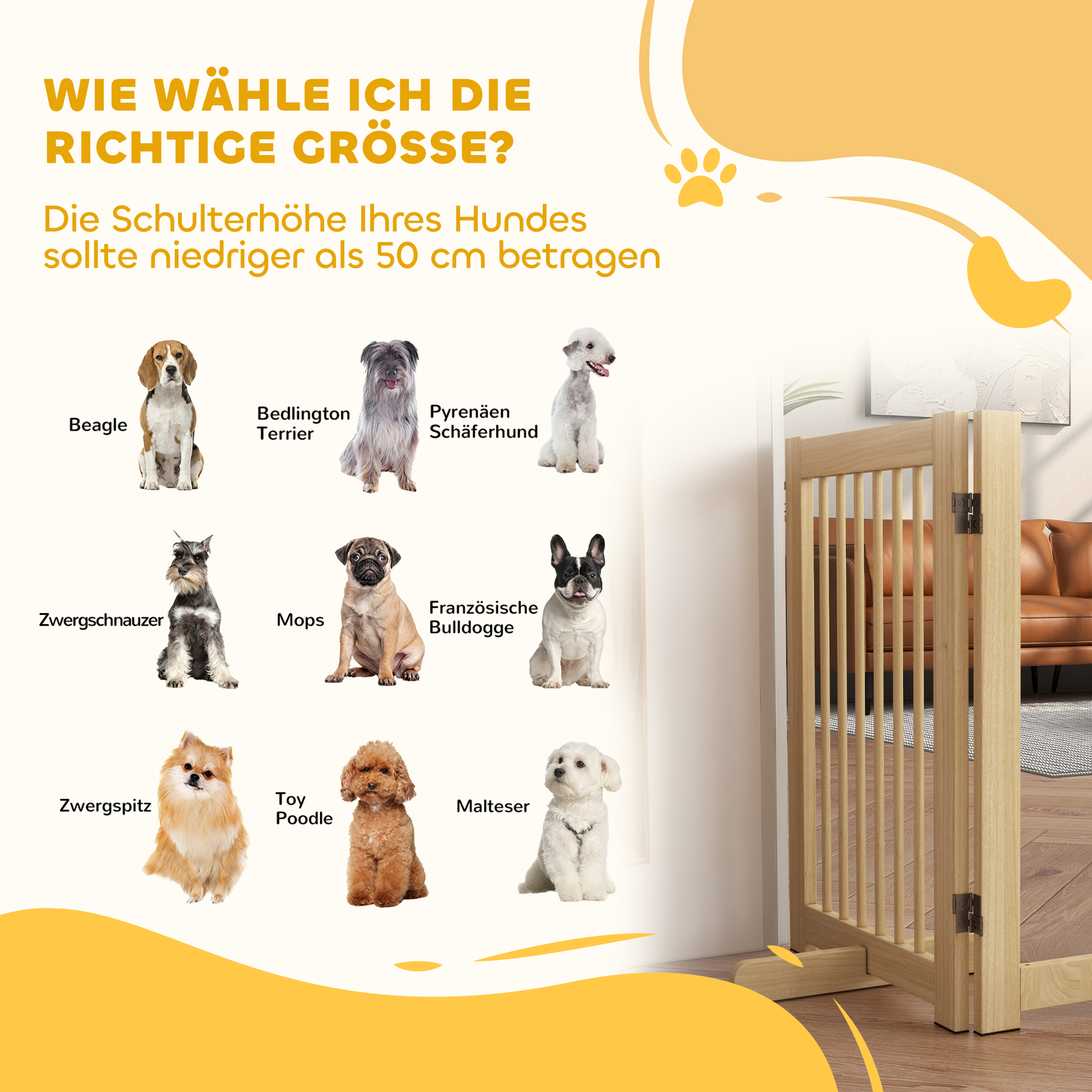 Bilder verschiedener Hunderassen werden gezeigt, mit einem Tor auf der rechten Seite des Bildes.