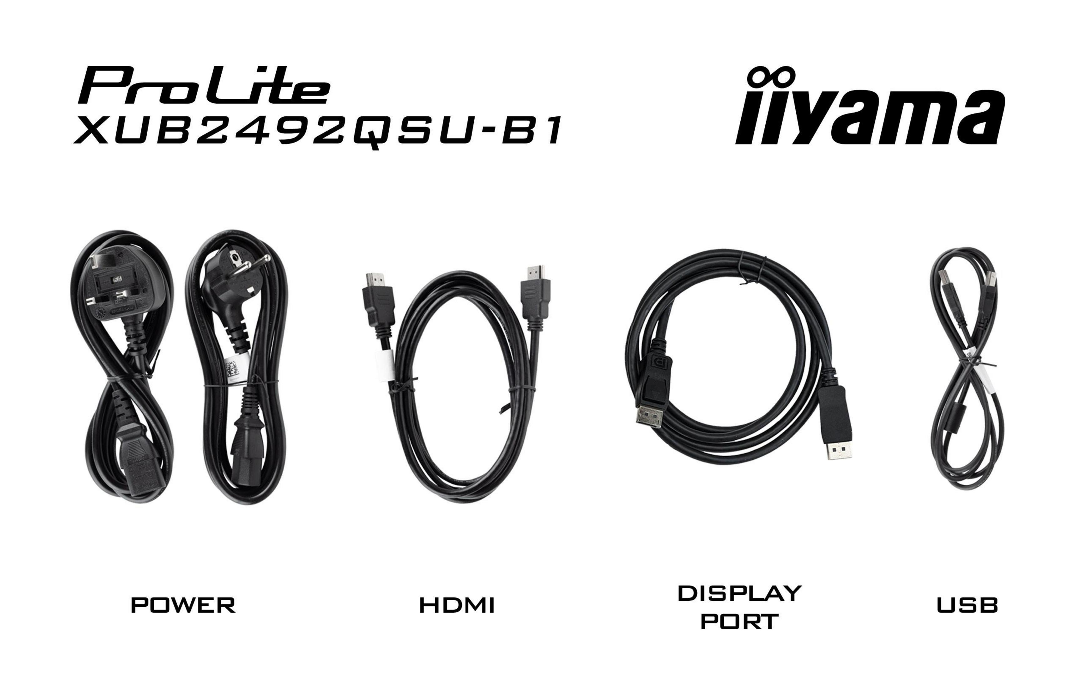 Kable z etykietami: zasilanie, HDMI, port wyświetlacza i USB. Logo Iiyama na górze.