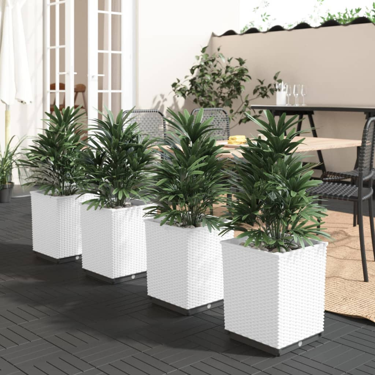 Vier weiße quadratische Pflanzgefäße mit grünen Pflanzen säumen eine Terrasse. Ein Holzzaun und eine weiße Tür sind im Hintergrund.