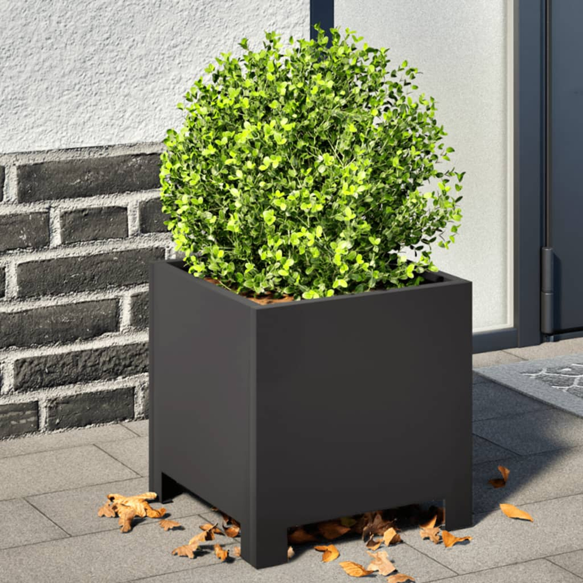 Fioriera nera con un cespuglio verde, posizionata su un patio con foglie cadute.