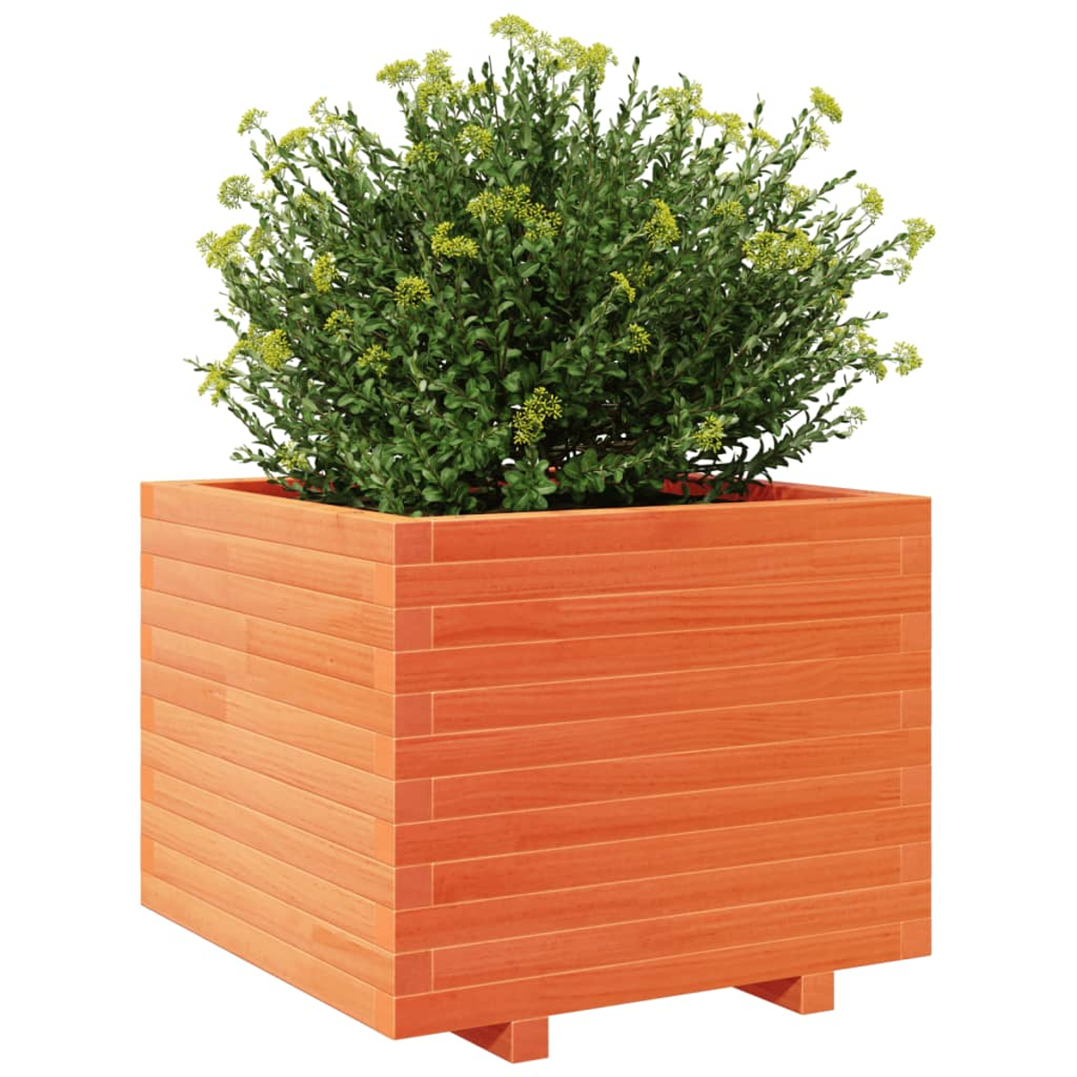 Quadratischer orangefarbener Pflanzkübel mit einer grünen Blattpflanze im Inneren.