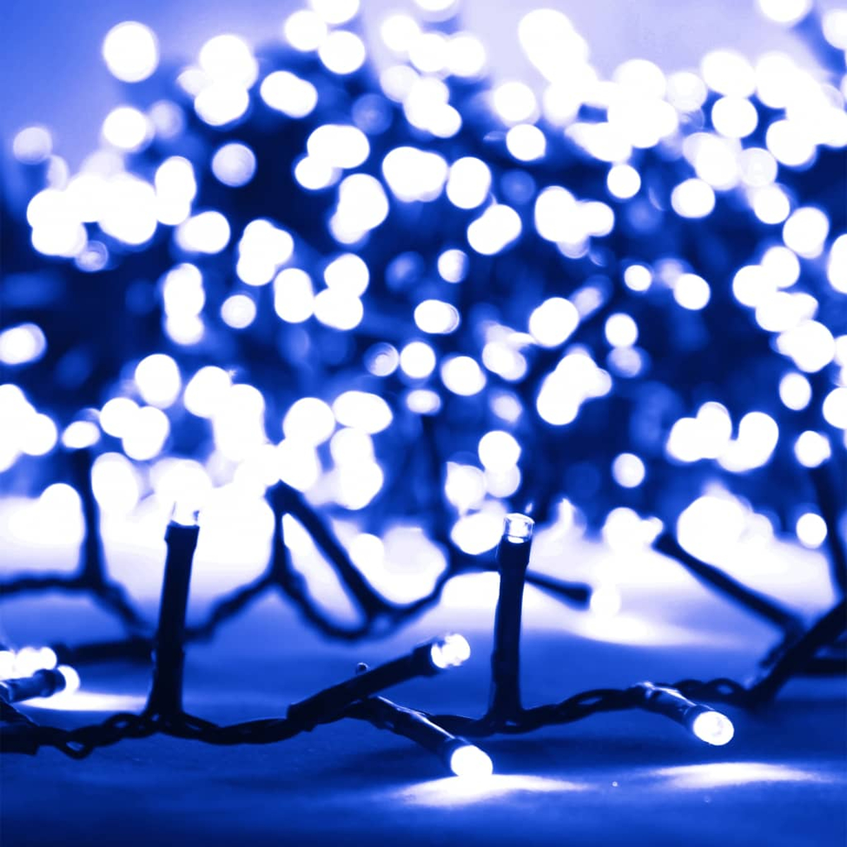 Nahaufnahme von blauen Weihnachtslichtern mit leuchtenden weißen Glühbirnen auf dunklem Hintergrund.