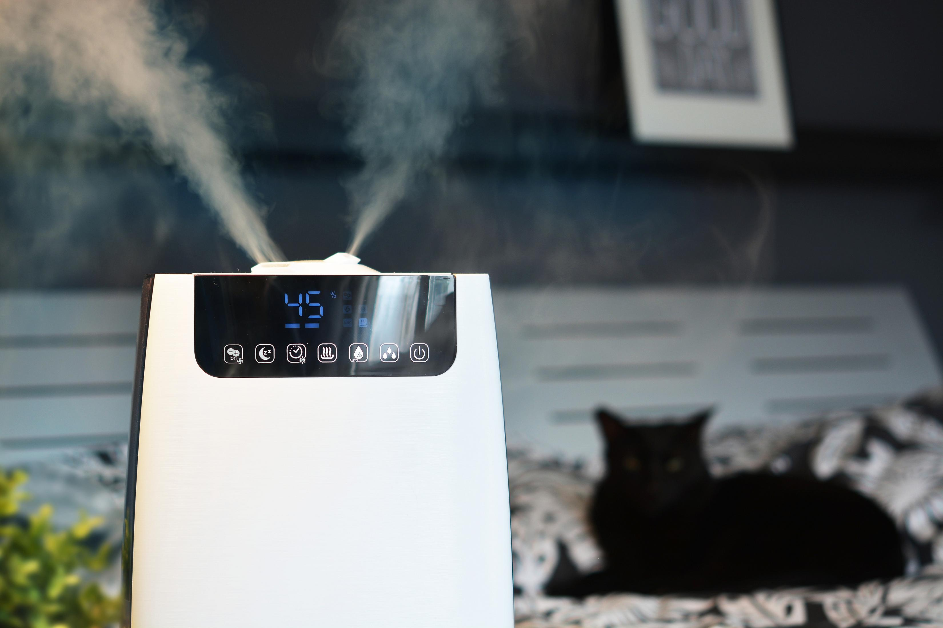 Un umidificatore bianco emette vapore. Un gatto nero riposa su un letto sullo sfondo.