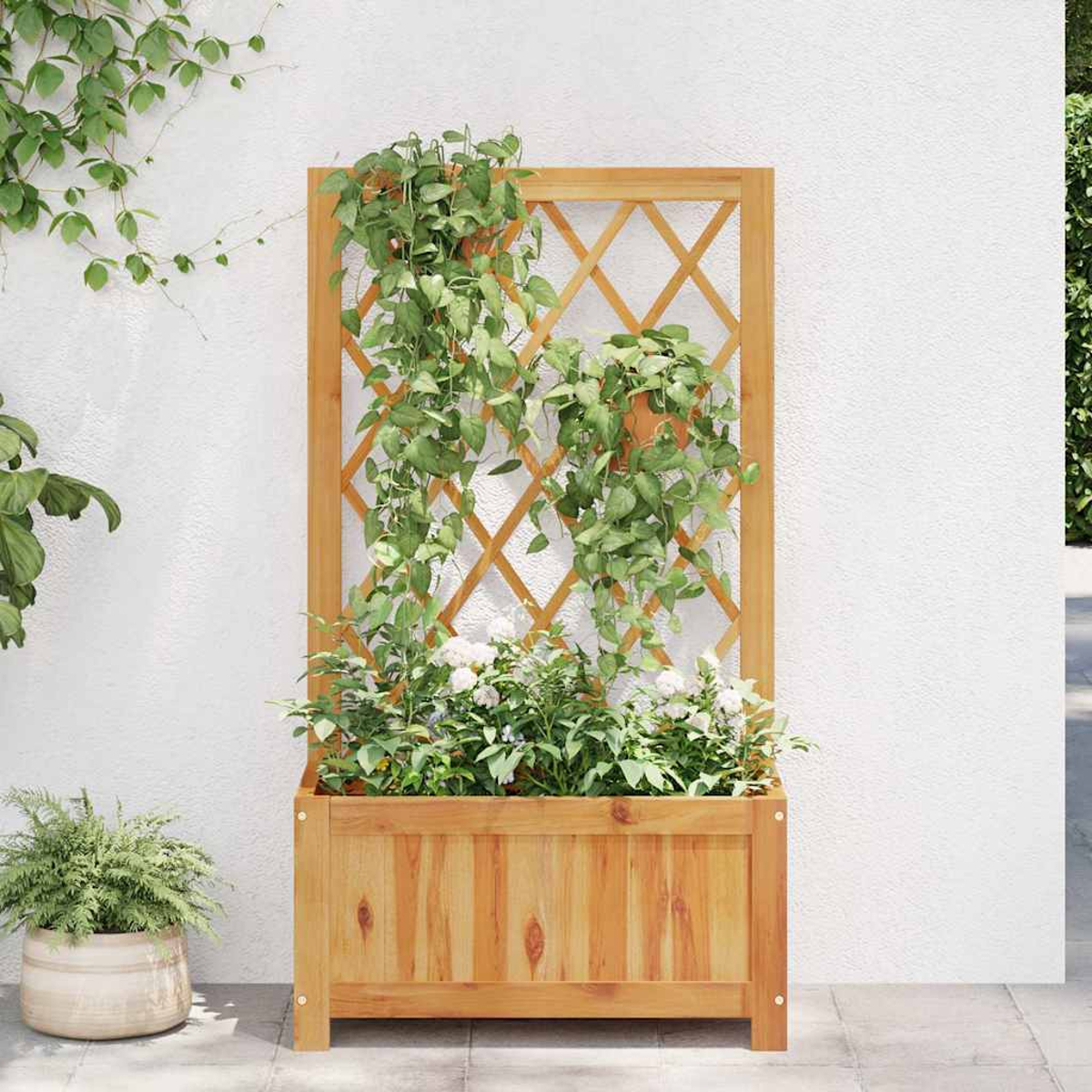 Holz-Pflanzkasten mit Spalier, gefüllt mit weißen Blumen und grünen Ranken, vor weißer Wand.