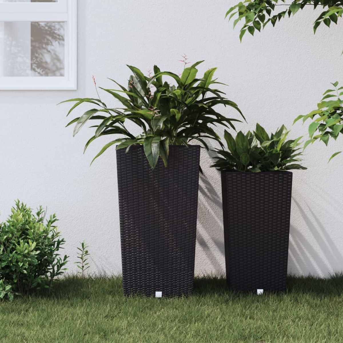 Zwei schwarze, hohe Pflanzgefäße mit Pflanzen, auf Gras mit weißem Hintergrund.