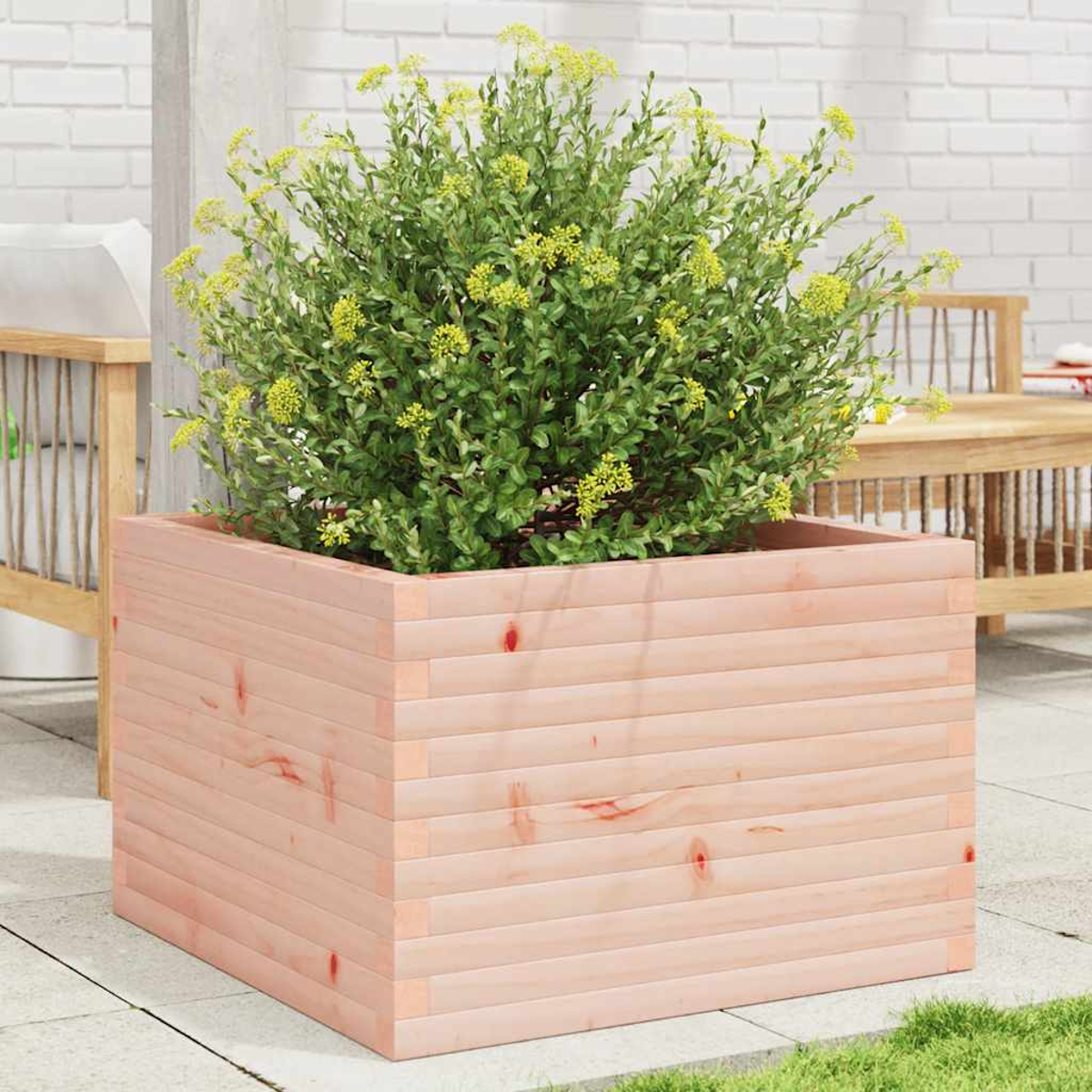 Quadratischer Pflanzkasten aus Holz mit einem grünen Strauch mit gelben Blüten. Draußen auf einer Terrasse.