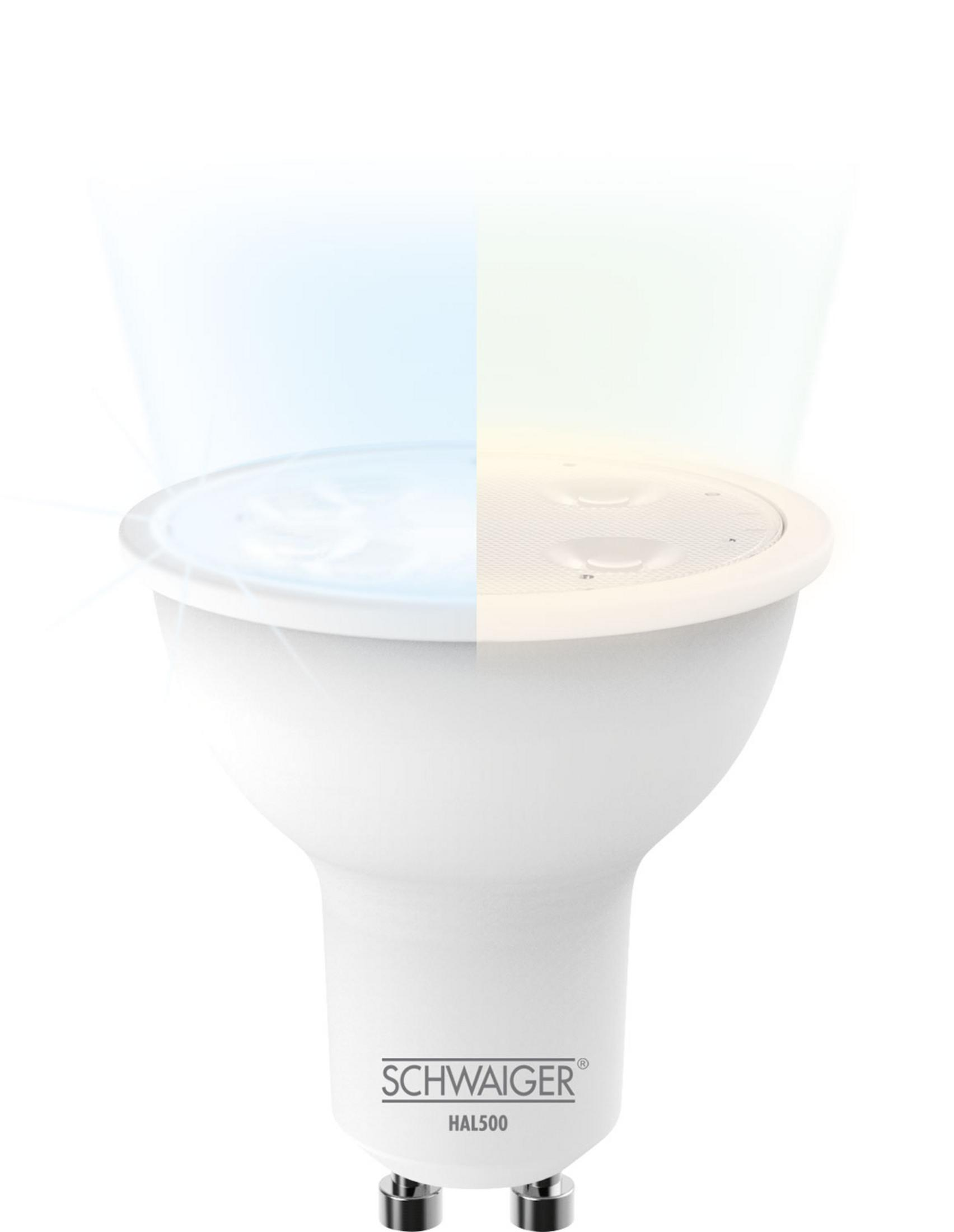 Weiße und silberne LED-Glühbirne, geteilt, um kaltes und warmes Licht vor Weiß zu zeigen. Markenname sichtbar.
