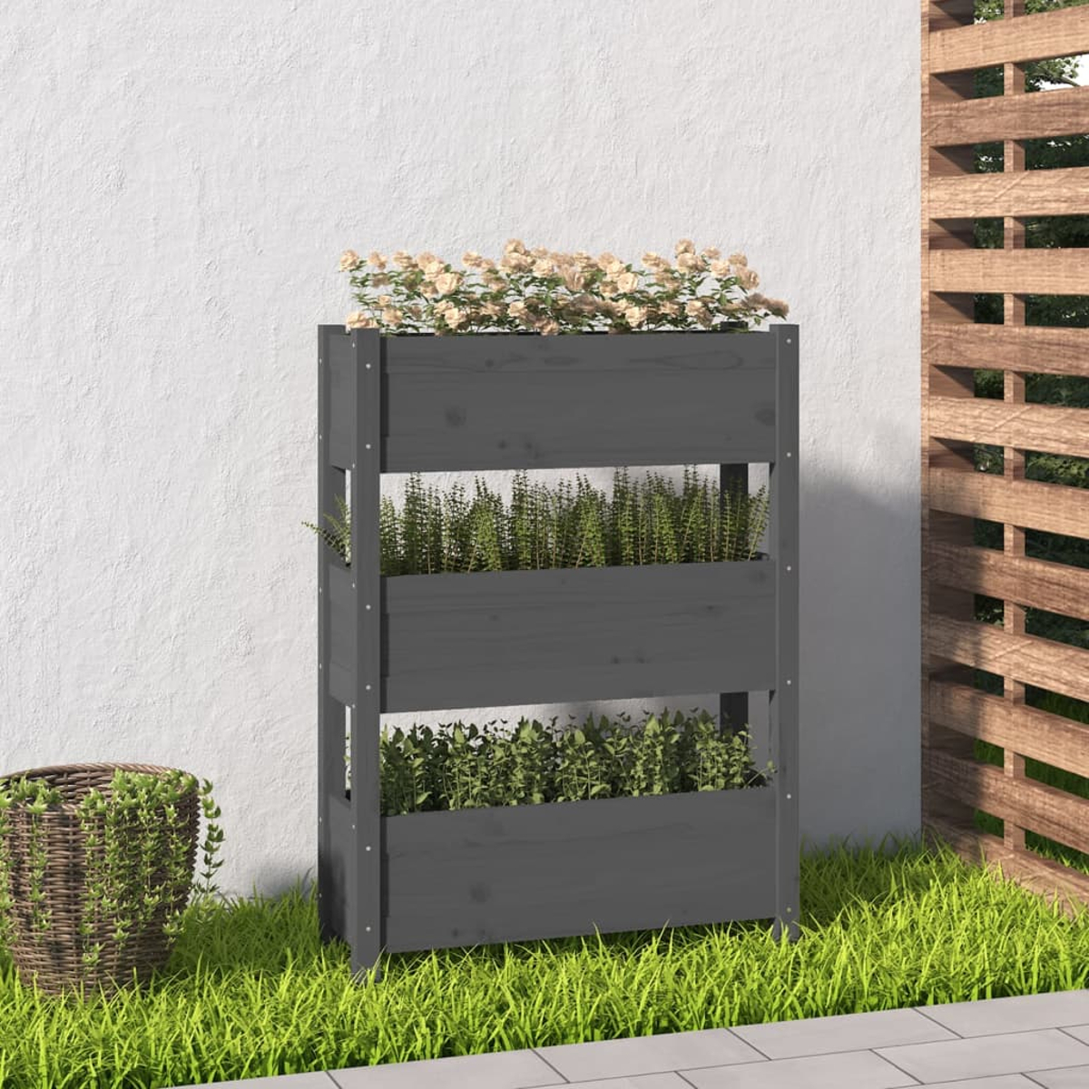 Dreistöckiger grauer Holzpflanzer mit Pflanzen und Blumen. Weiße Wand und Holzzaun im Hintergrund.