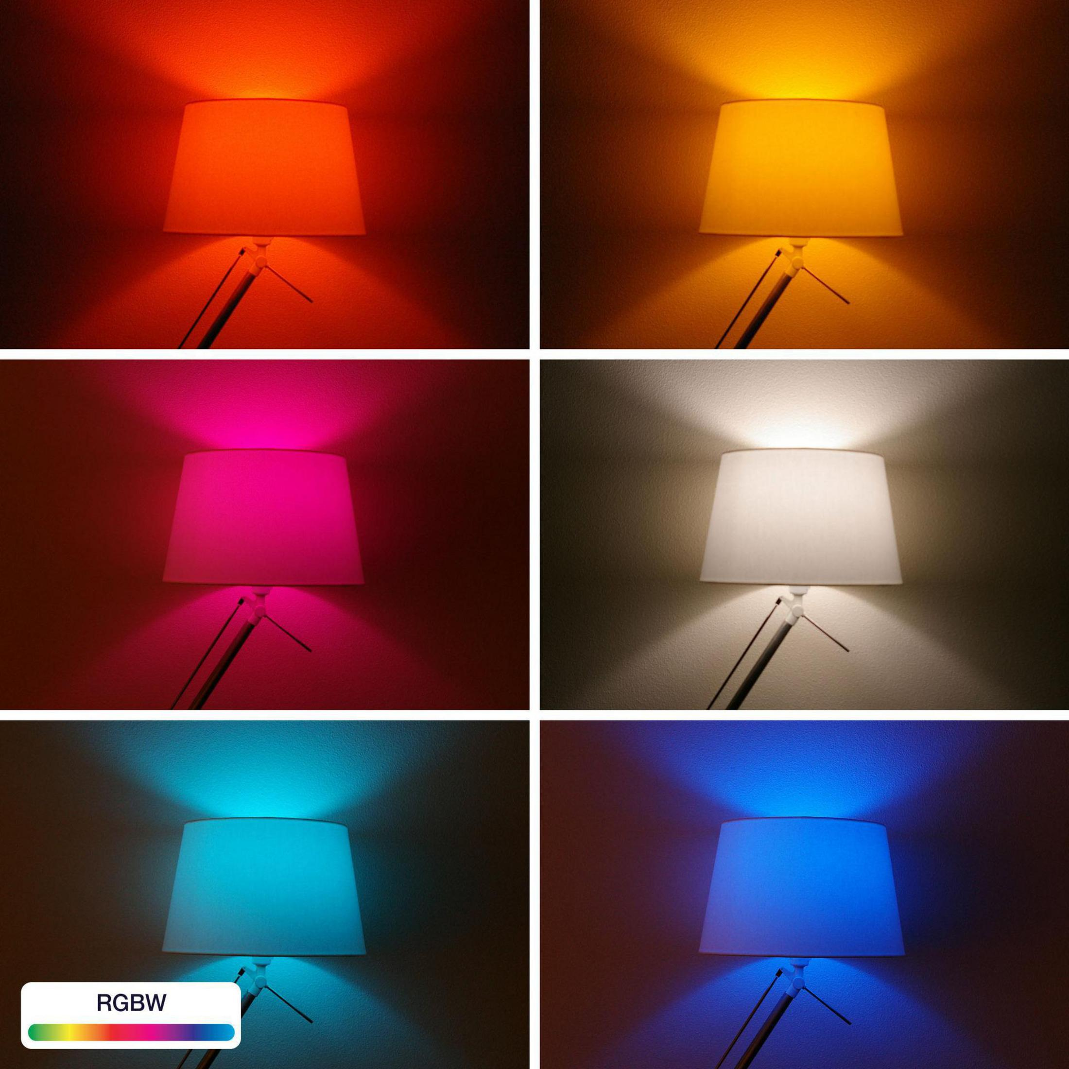 Ein Lampenschirm mit mehreren Farboptionen: rot, gelb, rosa, weiß, blau und ein Farbwähler mit der Aufschrift RGBW.