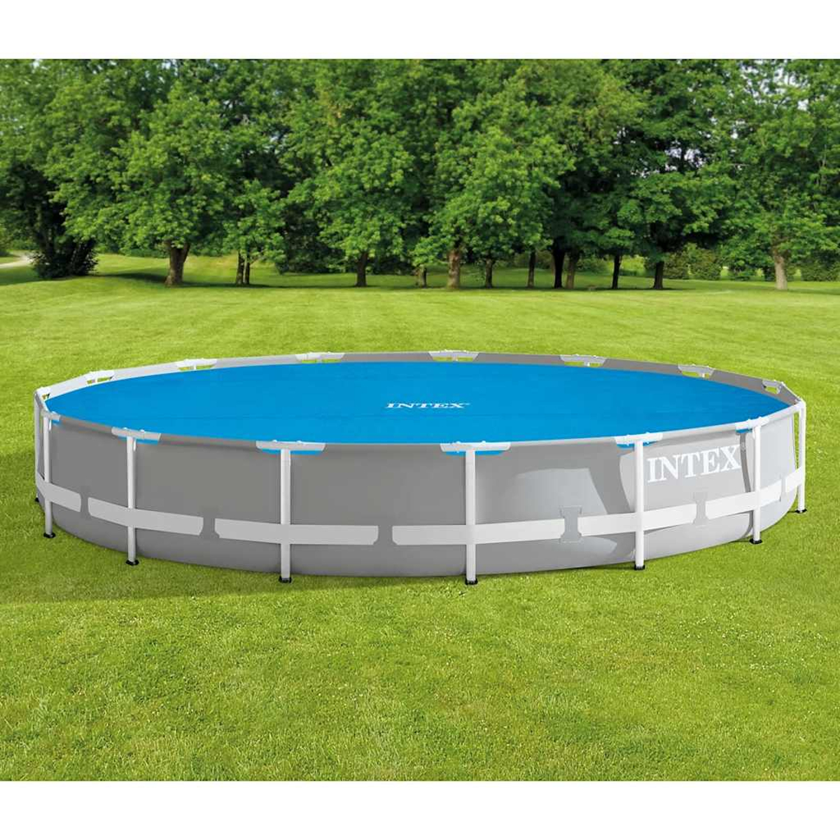 Runder Intex-Aufstellpool mit blauem Deckel. Auf einer grünen Wiese mit Bäumen im Hintergrund.