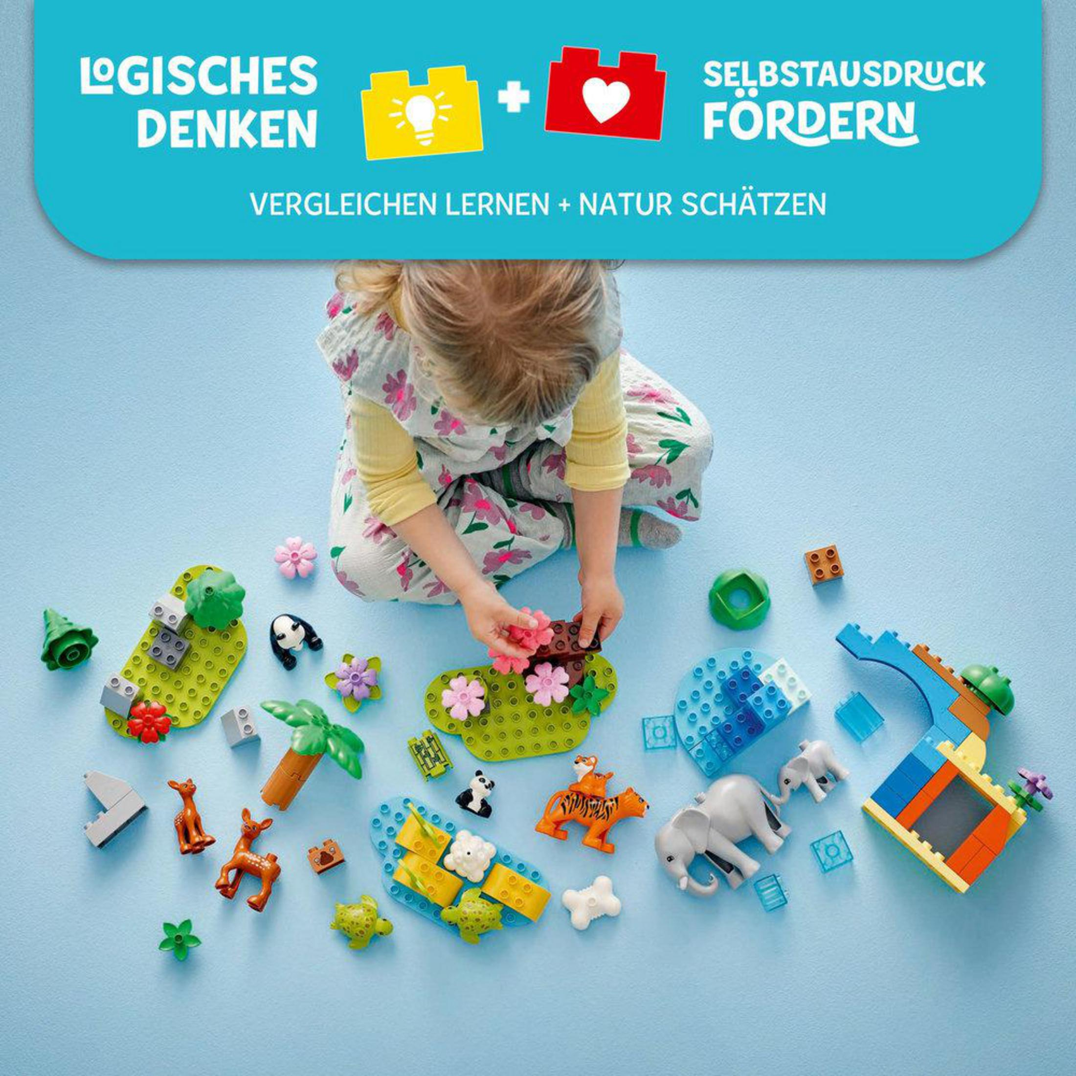 Lego Duplo Set mit Bausteinen und Tierfiguren, Lernkonzepte.