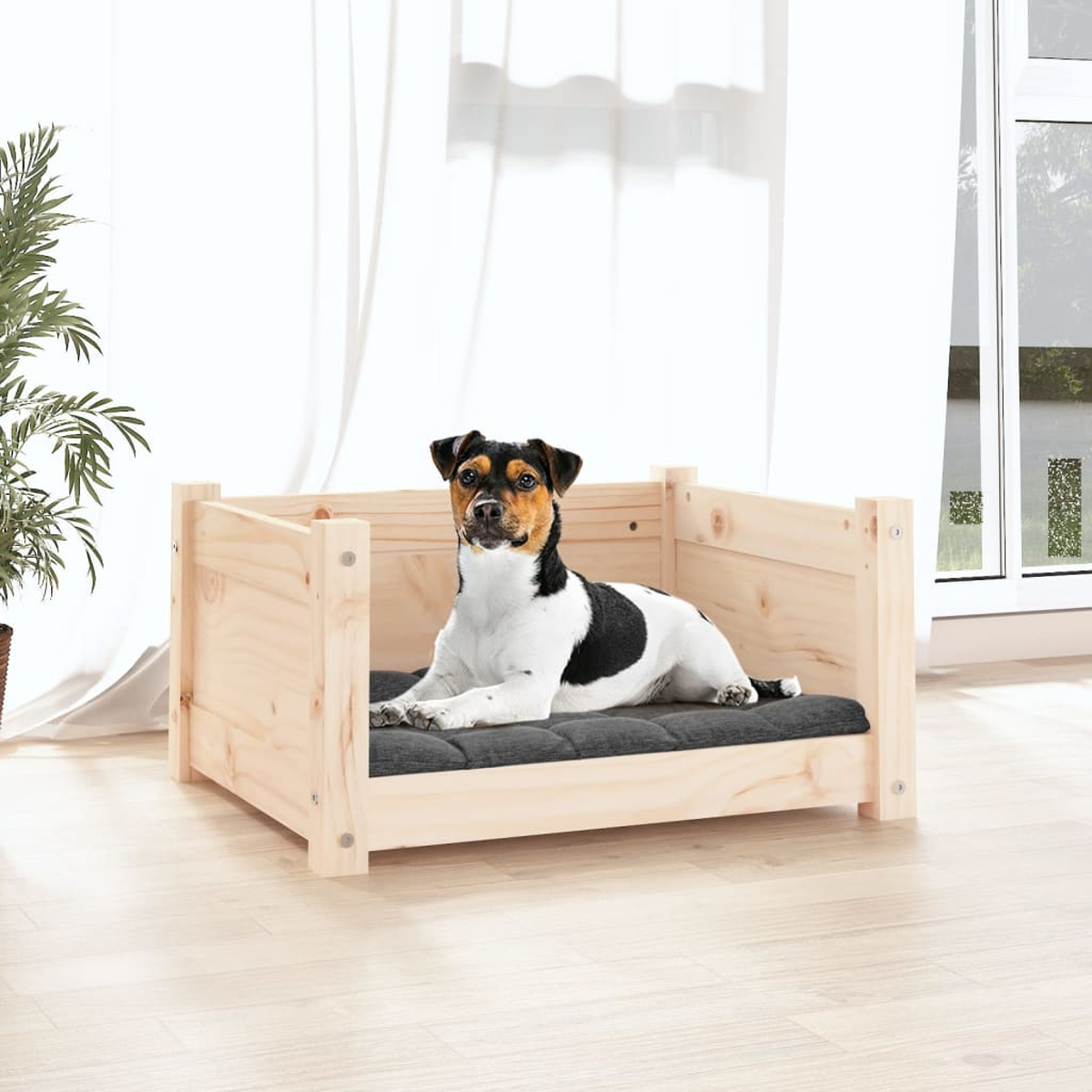 Hundebett mit Hund. Heller Holzrahmen, graues Kissen, Hund ist schwarz, weiß und braun.