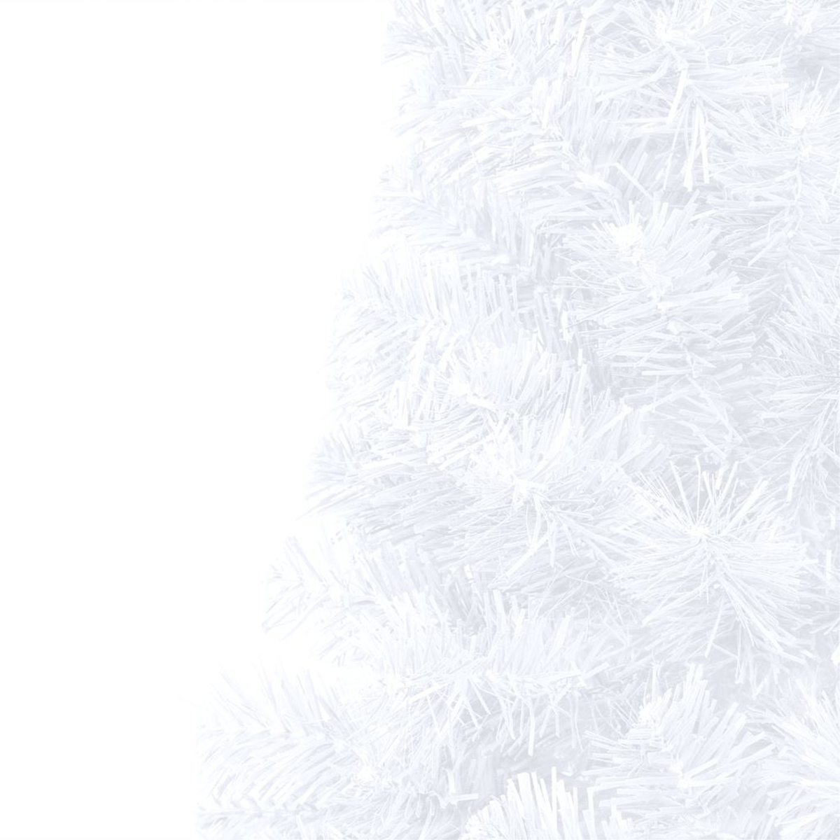 Nahaufnahme von weißen Weihnachtsbaumzweigen. Der Hintergrund ist weiß.