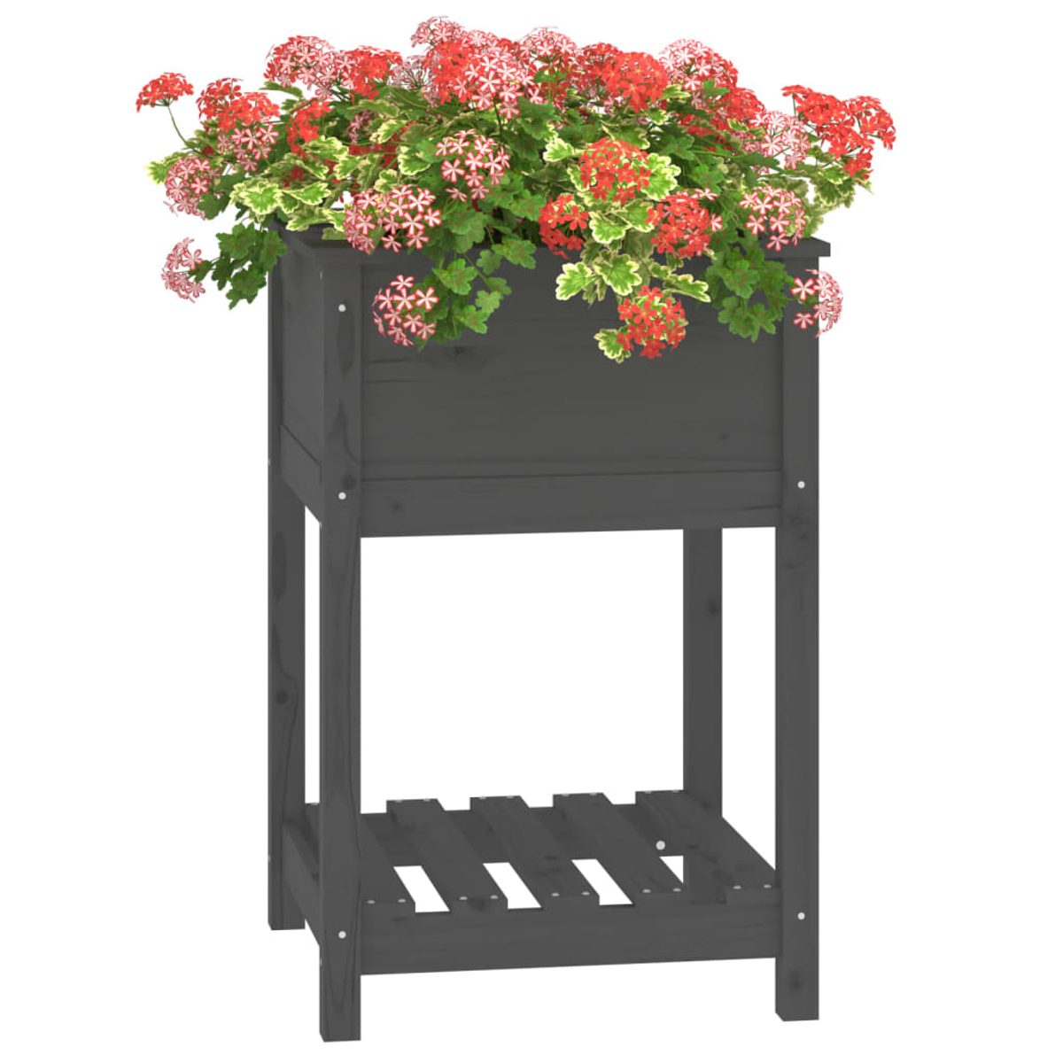 Grauer Holzpflanzer mit roten Blumen. Es hat ein Regal unten.