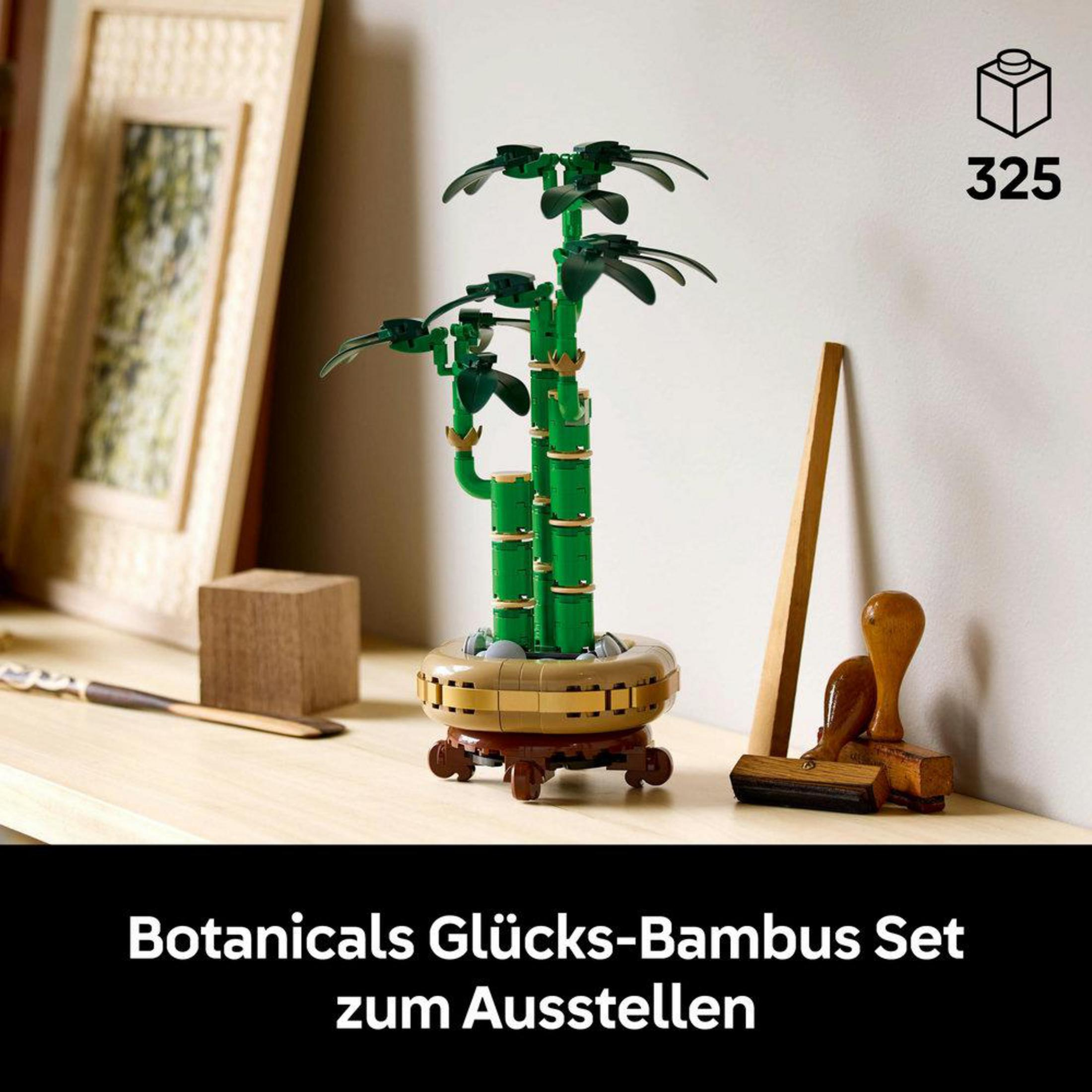 LEGO Botanicals Lucky Bamboo set op een tafel. Bamboe in pot, met stempels en een houten frame.