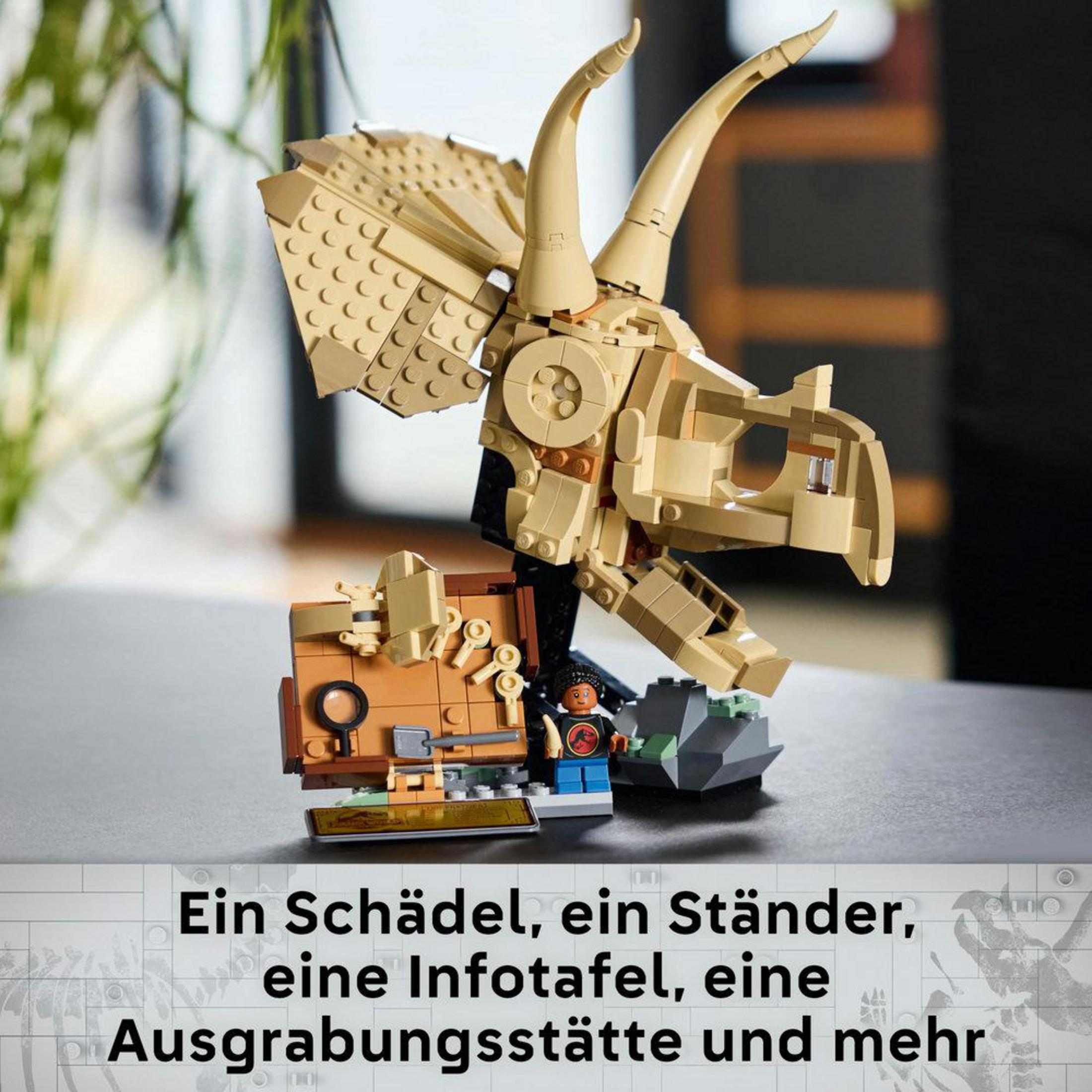 Exhibición de fósil de Triceratops Lego con caja y una niña; colores beige y negro.