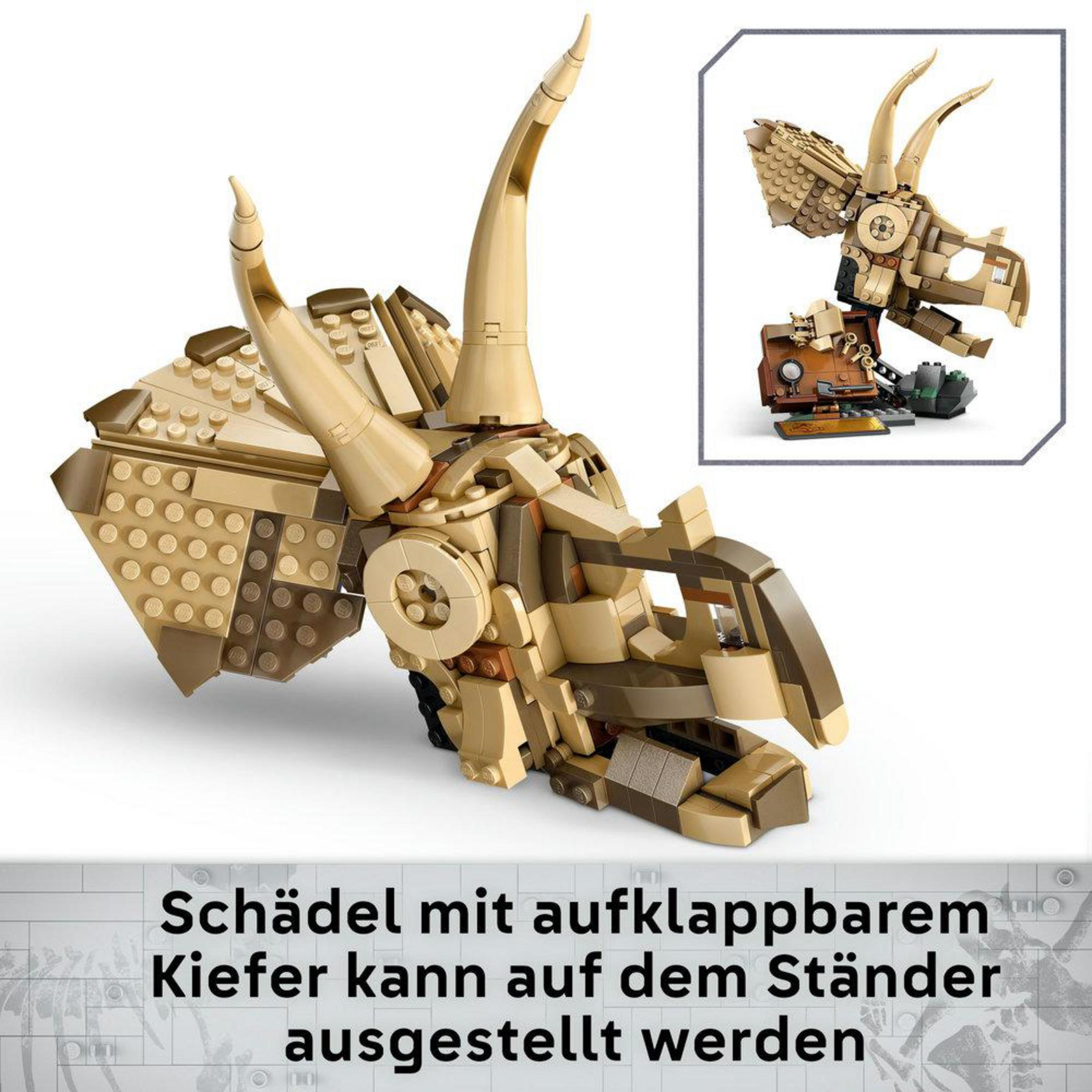 Exhibición de fósil de Triceratops Lego, beige y marrón, con detalle de mandíbula que se abre.
