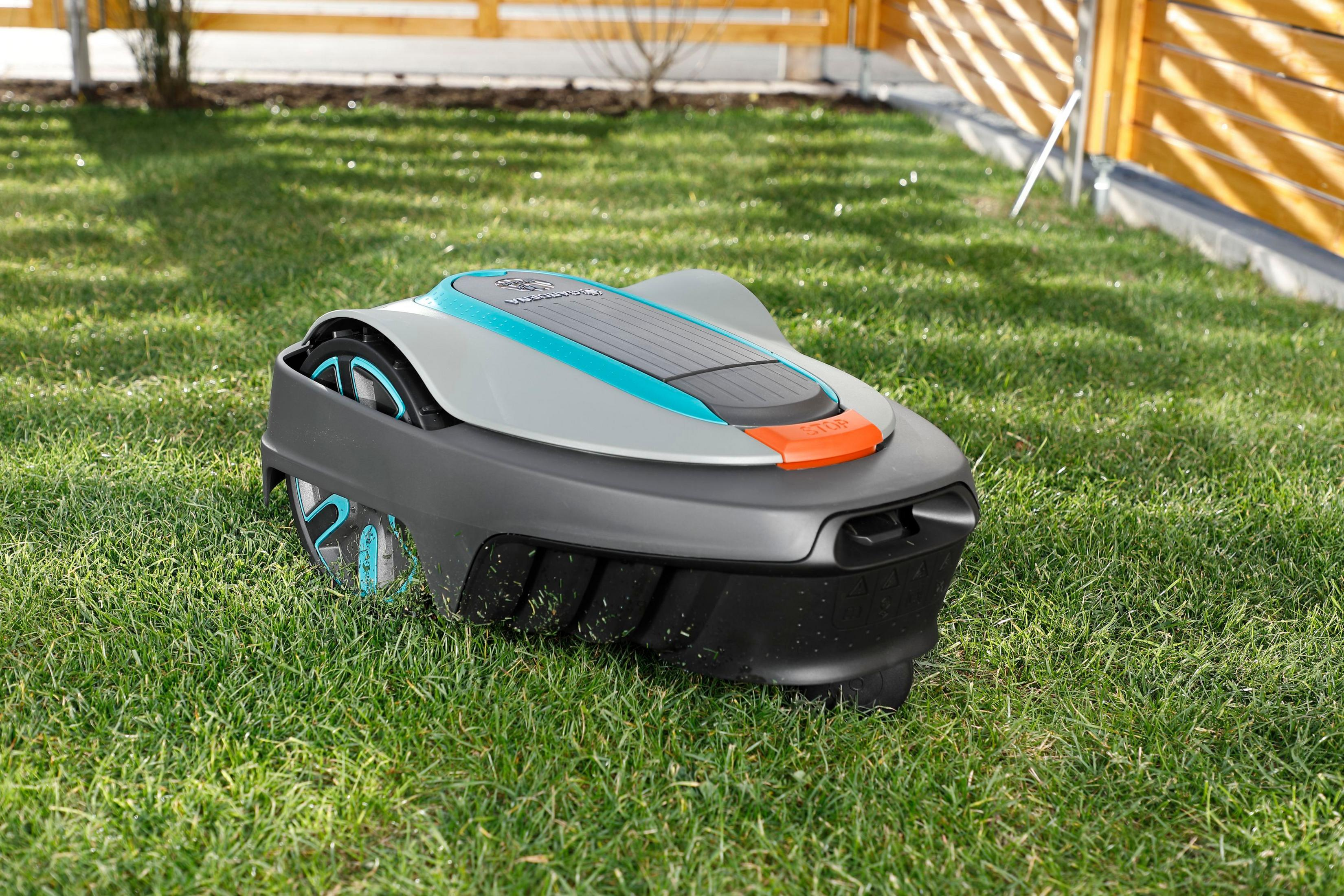 Ein Roboter-Rasenmäher auf grünem Gras. Der Mäher ist grau, mit schwarzer Basis und blauen Akzenten.