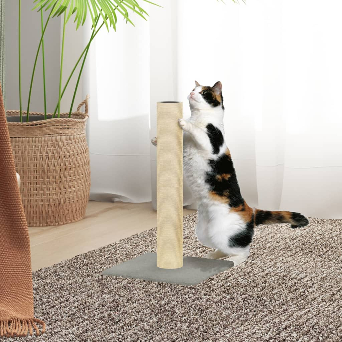Schildpatt Katze steht und kratzt an einem hohen Kratzbaum. Die Katze ist drinnen auf einem Teppich.