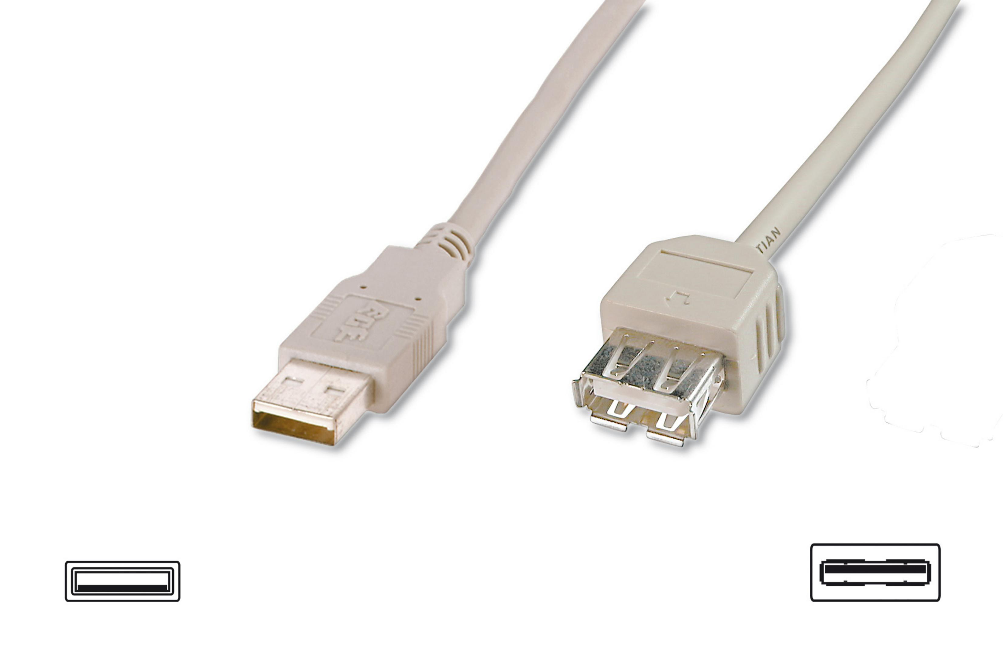 Cavo USB beige con connettori USB-A e USB-B. Sfondo bianco.
