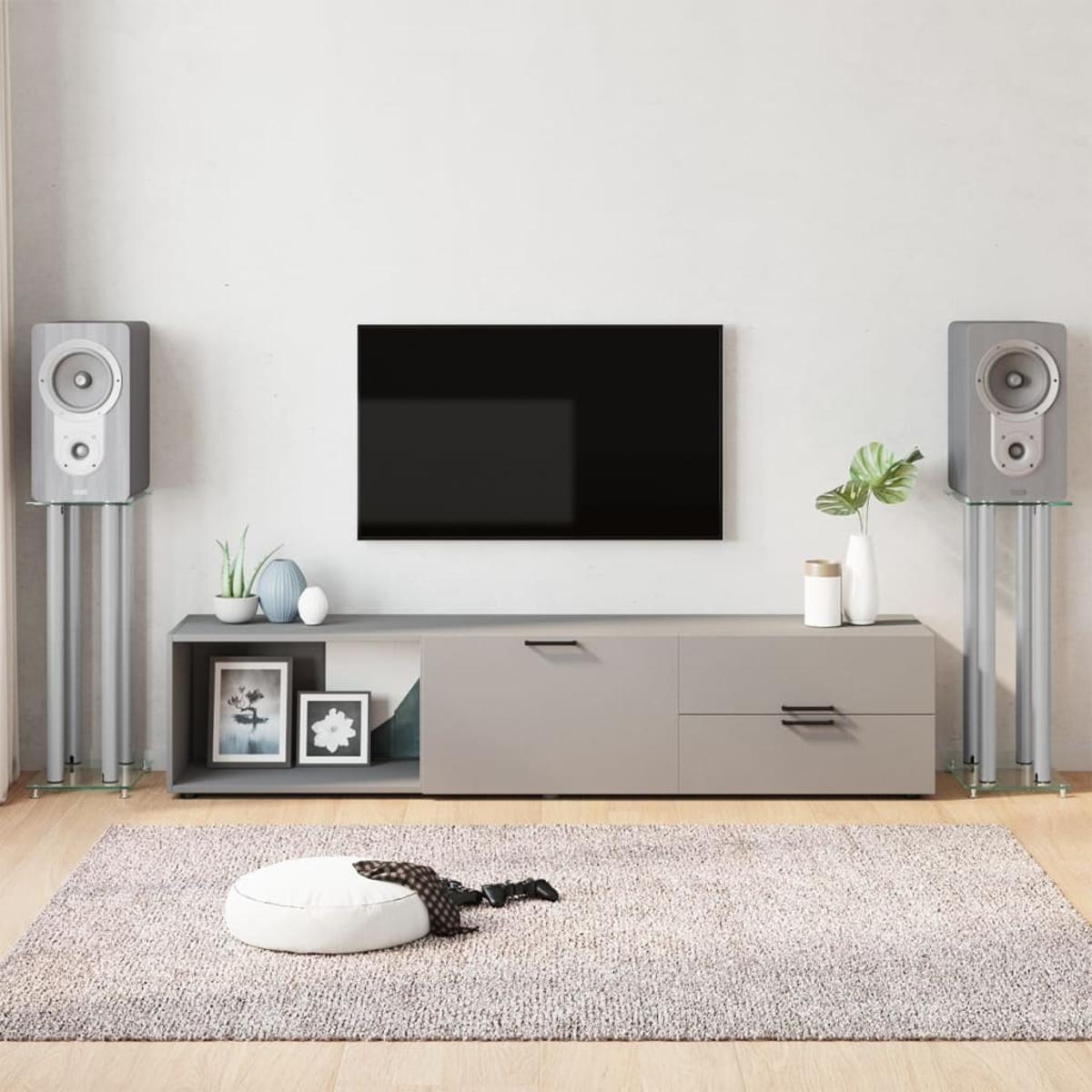 Wohnzimmer mit Fernseher, zwei Lautsprechern, einem Teppich und einem grauen Schrank. Es gibt zwei gerahmte Fotos und einige Vasen.
