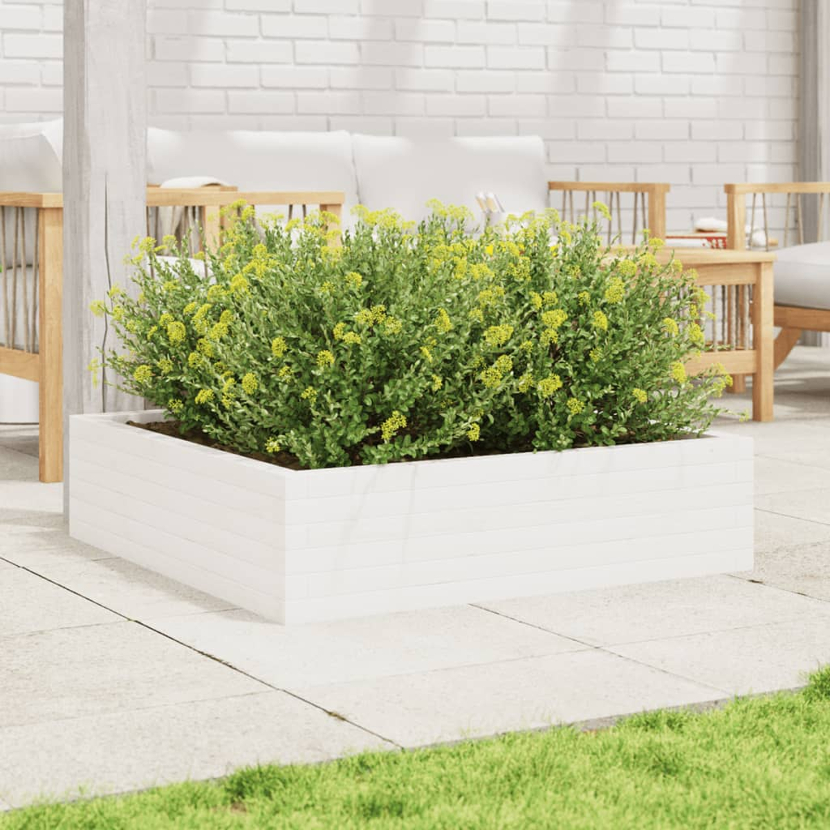 Weißer Pflanzkasten mit grünen Pflanzen und gelben Blumen. Terrasse. Weiße Backsteinmauer.