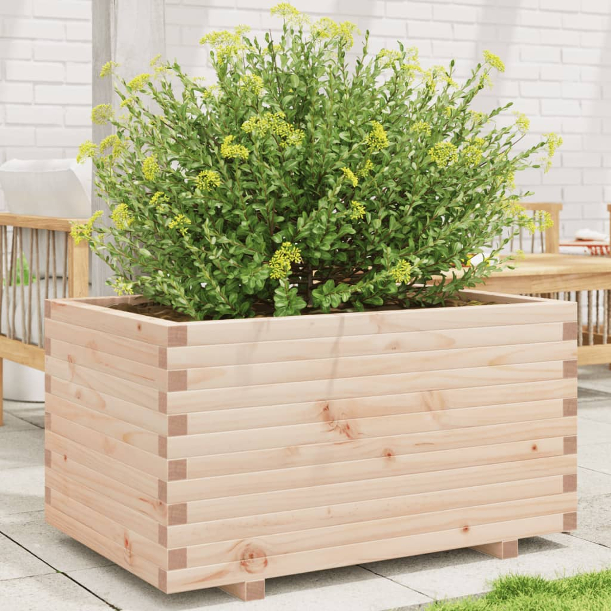 Holzpflanzkasten mit grüner Pflanze und gelben Blüten, auf Terrasse.