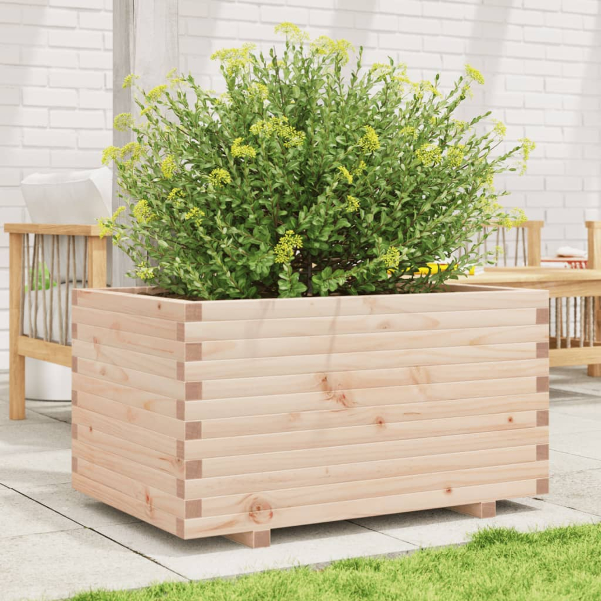 Holzpflanzkasten mit grüner Pflanze und gelben Blüten auf Terrasse.