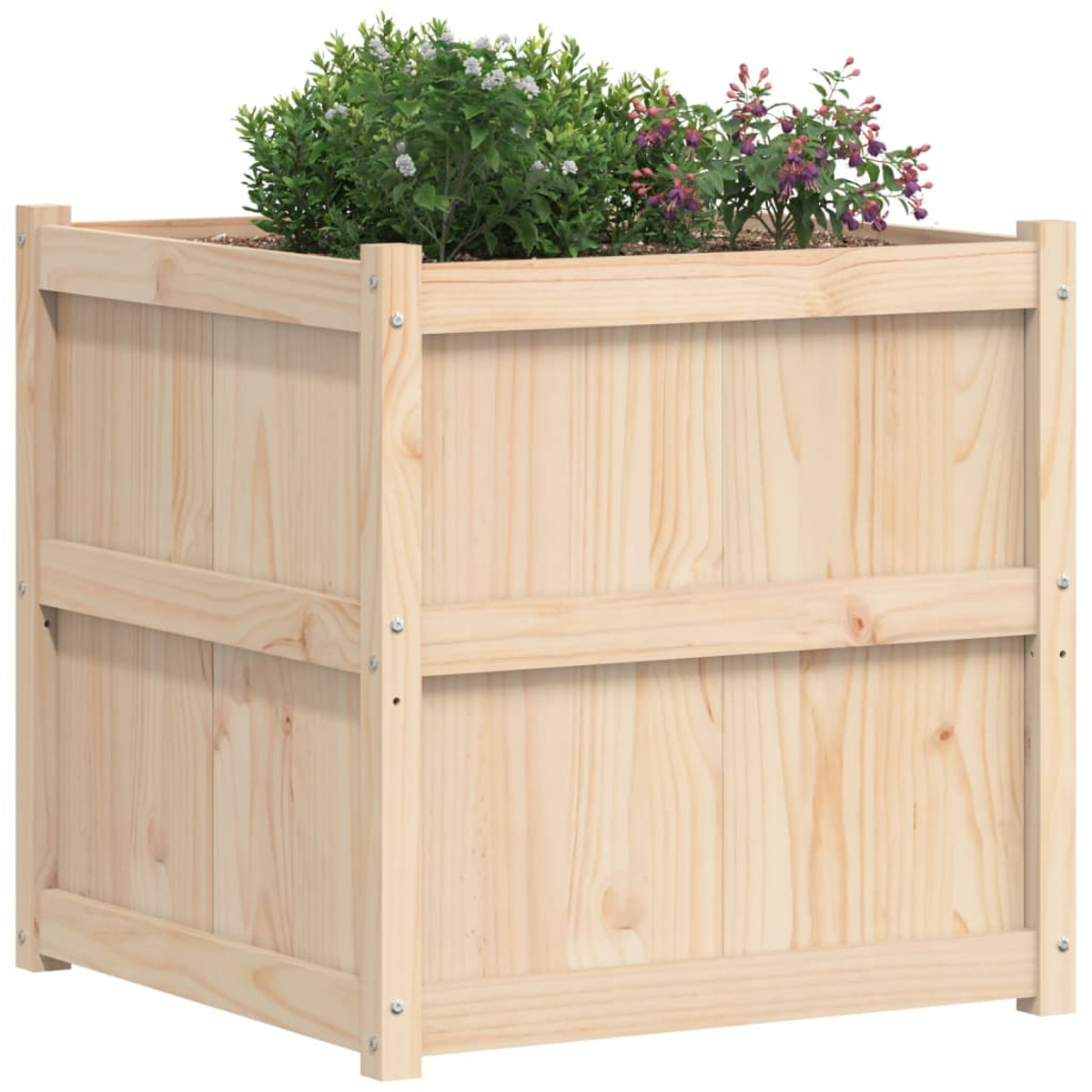 Eine Holzpflanzkasten gefüllt mit Erde und grünen und lila Pflanzen.