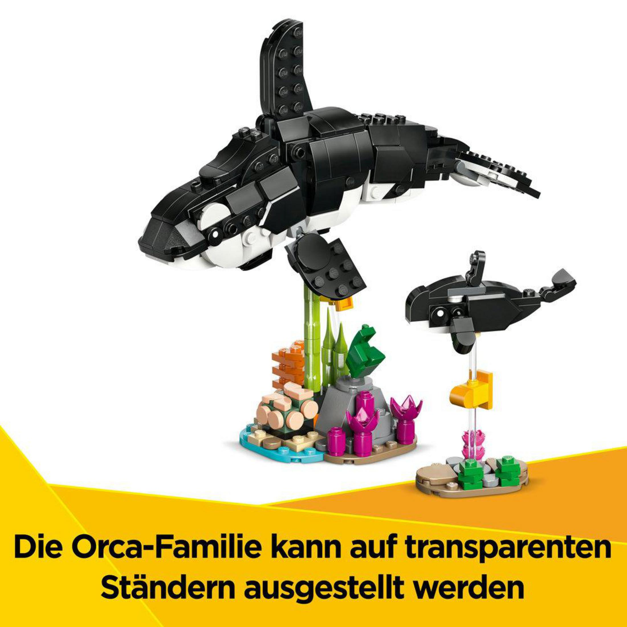 Modele rodziny LEGO Orca na podstawkach z pudełkiem w tle. Tekst: 'Rodzina orek może być wystawiona'.