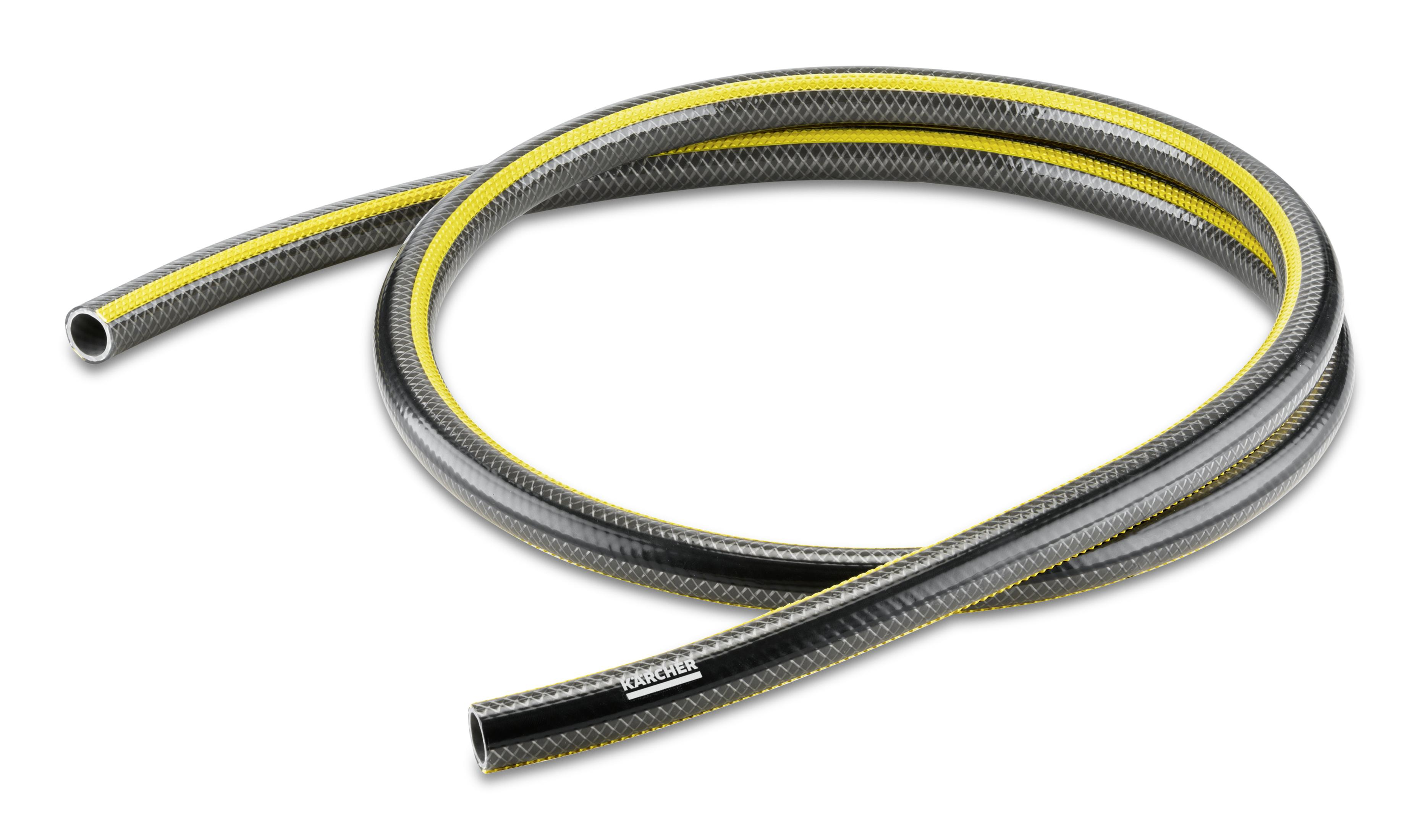 Czarny i szary wąż ogrodowy z żółtym paskiem. Białe tło.