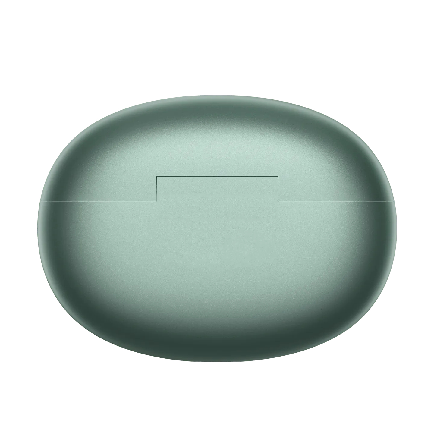 Custodia per auricolari ovale verde menta. La custodia è chiusa.