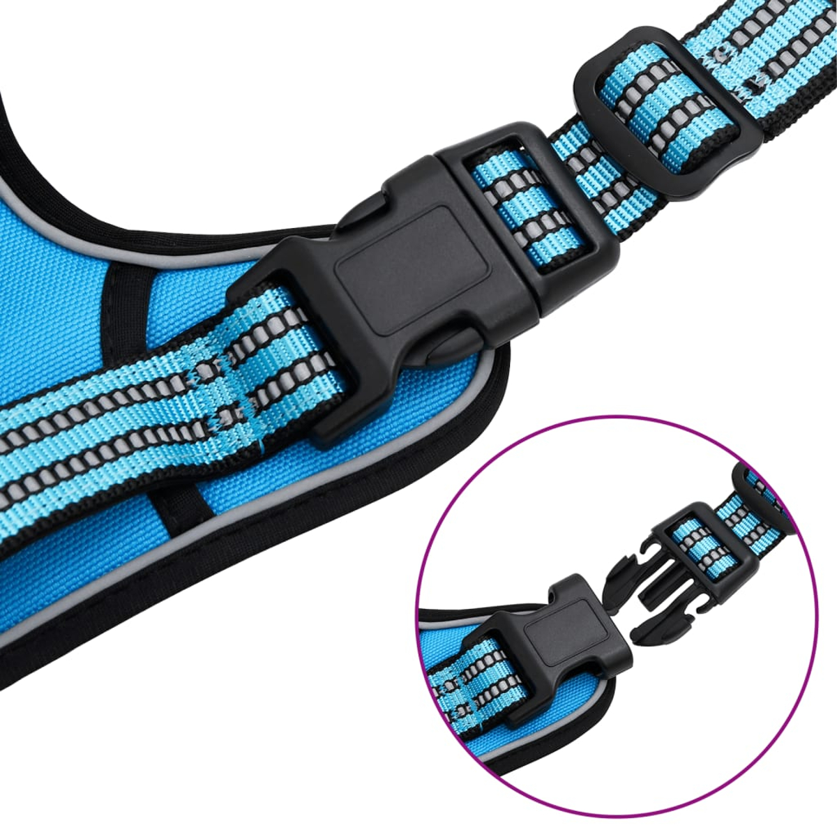 Imbracatura blu per cani con dettaglio fibbia nera, primo piano. Strisce riflettenti. Sfondo bianco.