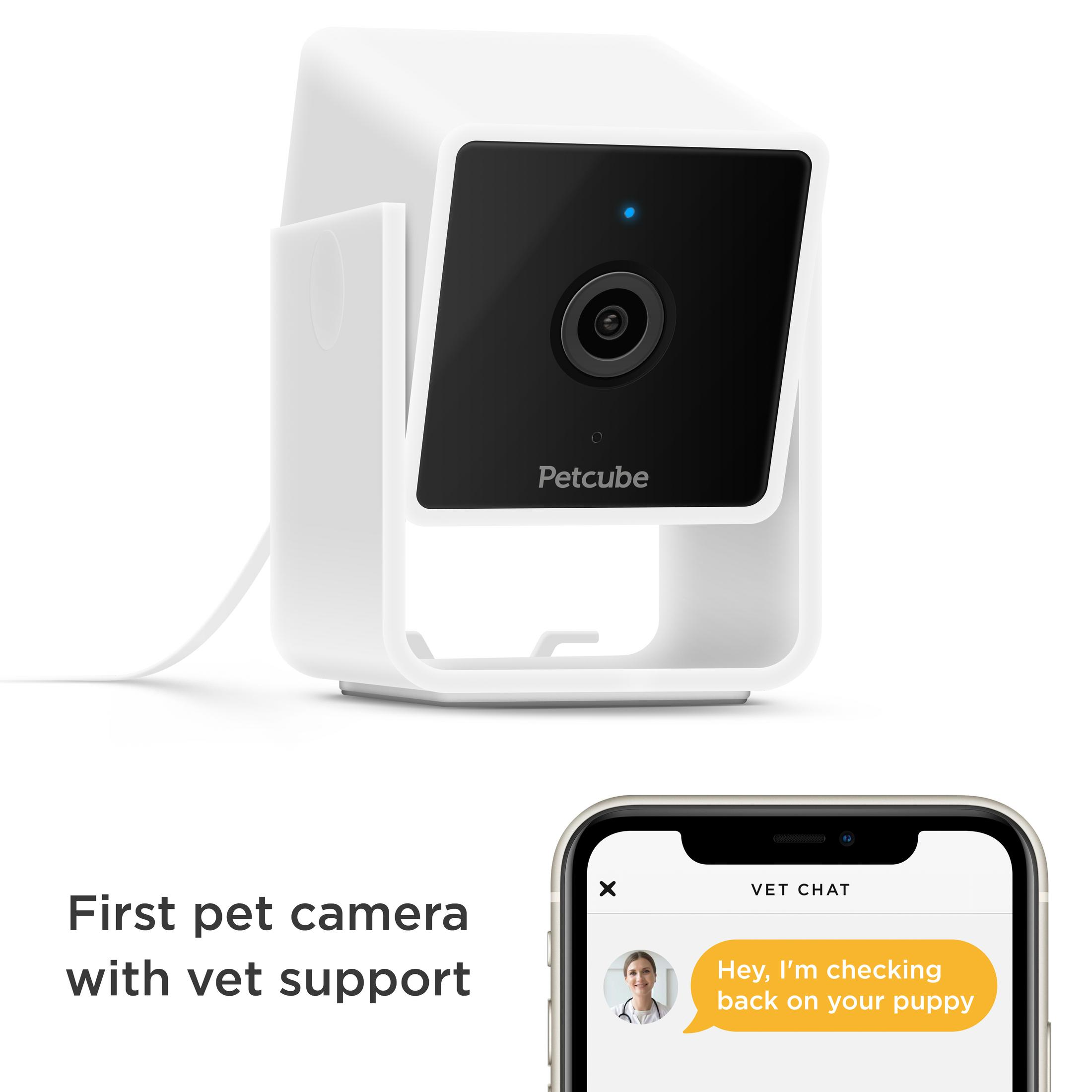 Weiße Petcube-Kamera mit schwarzer Vorderseite und Smartphone mit Tierarzt-Chat, auf weißem Hintergrund.