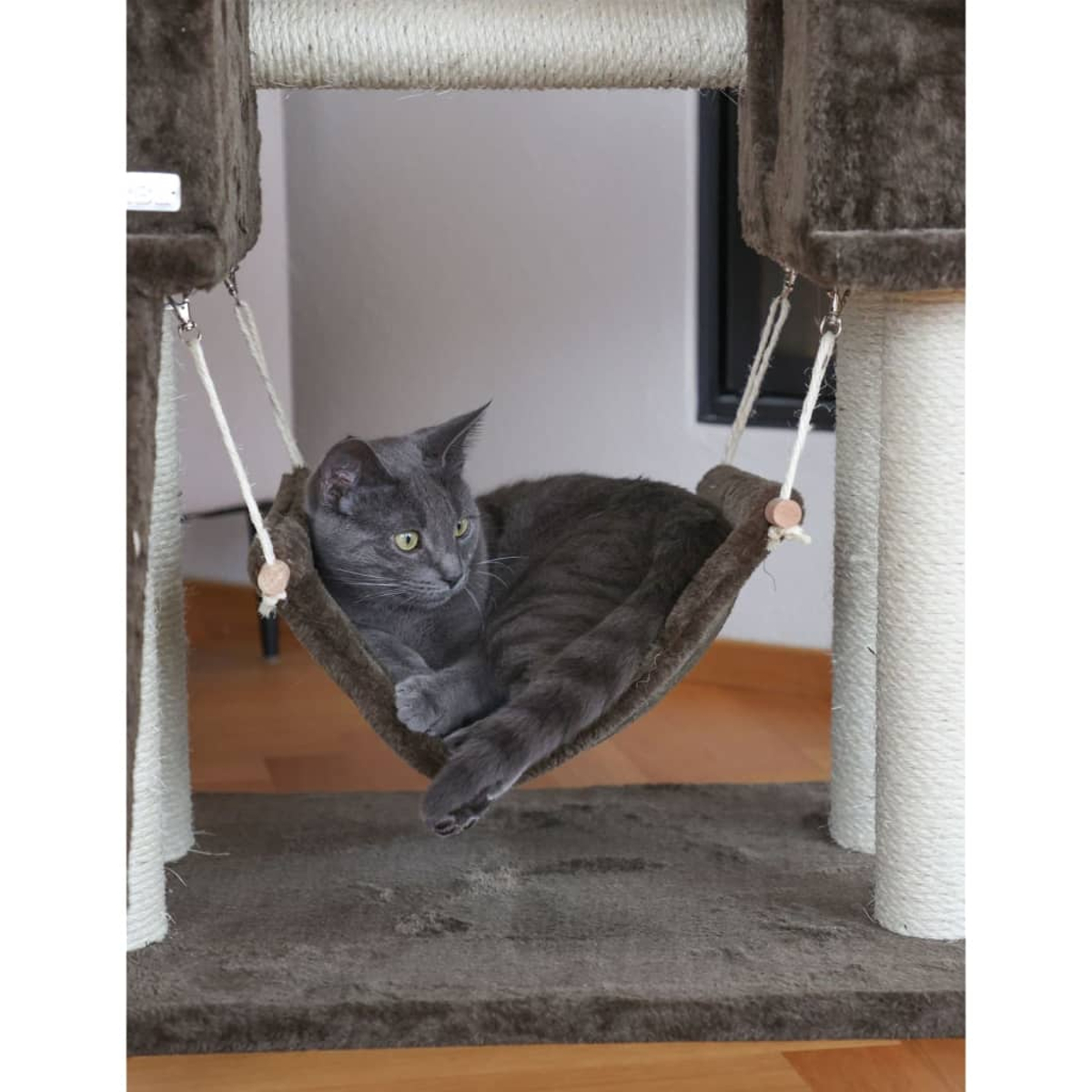 Graue Katze, die sich in einer grauen Hängematte auf einem Katzenbaum ausruht.