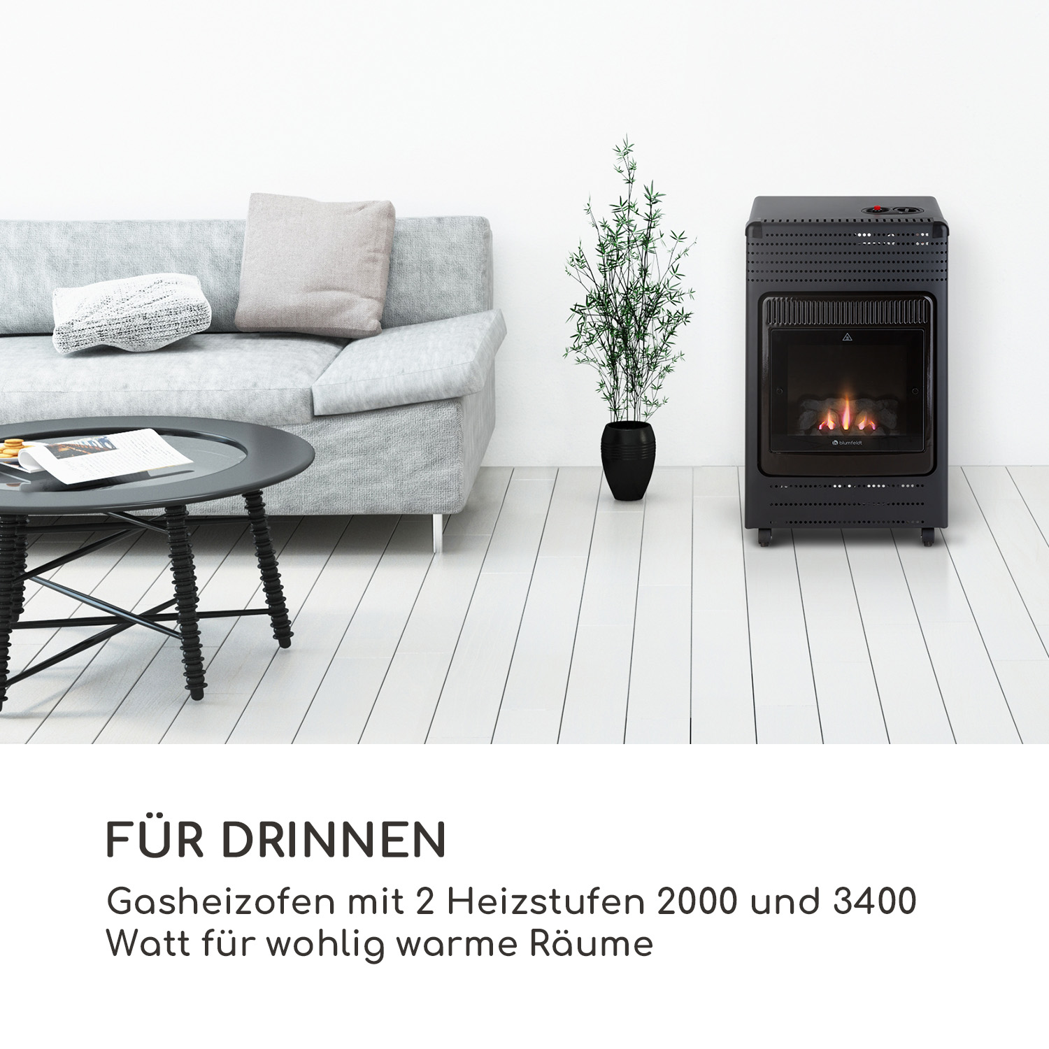 Ein Wohnzimmer mit Gasheizung, Couch, Tisch und Pflanze, alles in heller Umgebung.