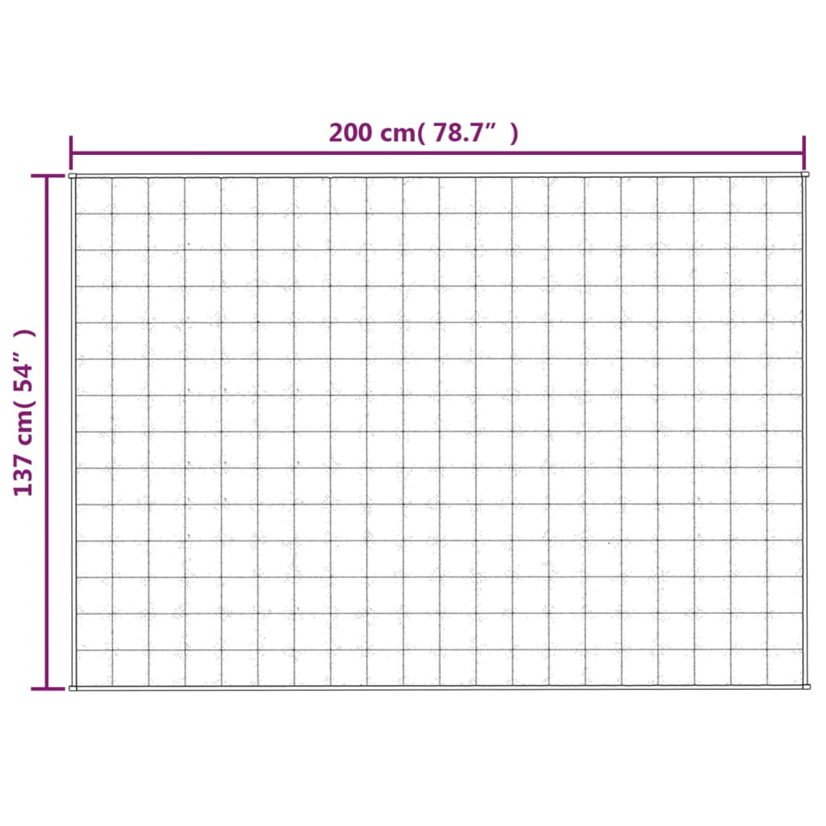 Rechteckiges Gitter mit Abmessungen, zeigt 200 cm (78,7") Länge und 137 cm (54") Breite.