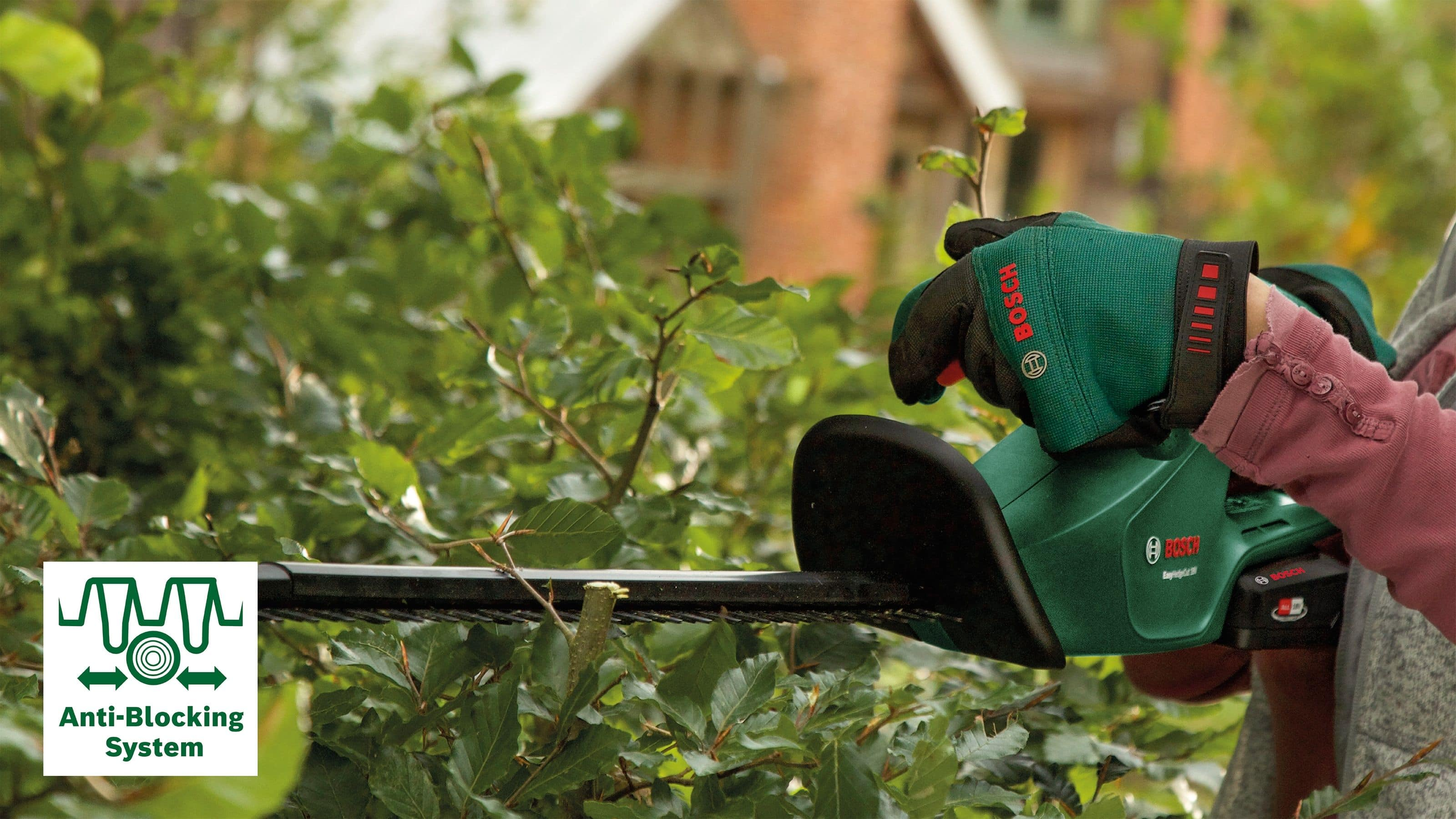 Kobieta używa nożyc do żywopłotu do przycinania żywopłotu, widoczny jest system antyblokujący.