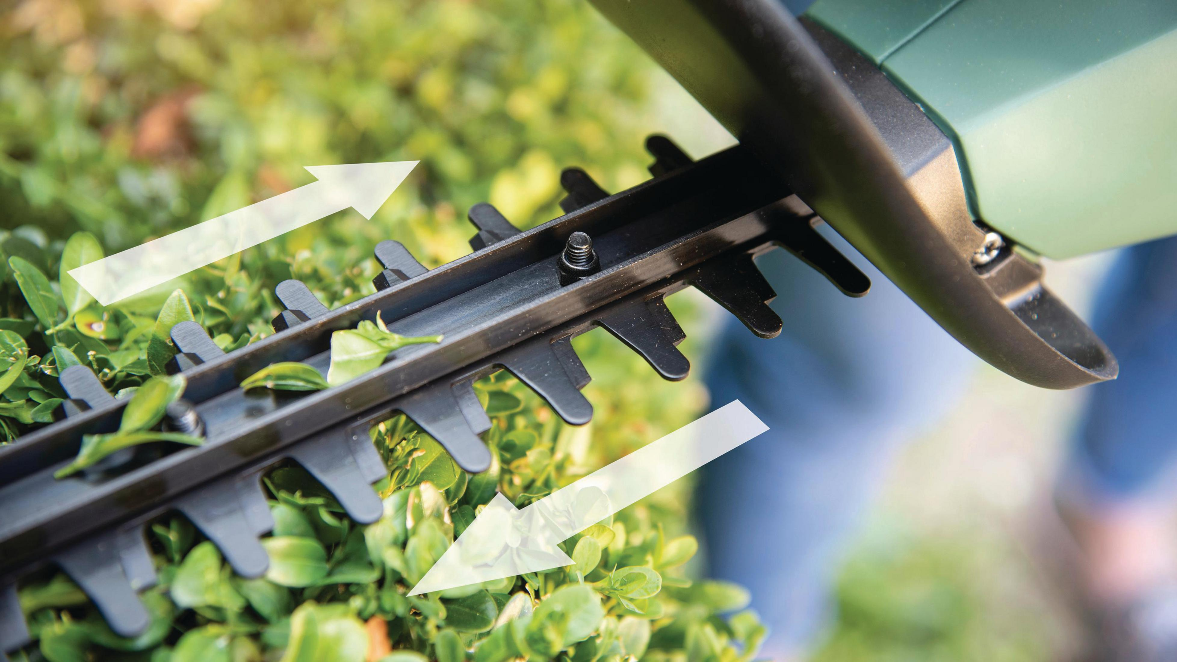 Zbliżenie ostrzy tnących zielonych nożyc do żywopłotu. Strzałki wskazują kierunek cięcia.