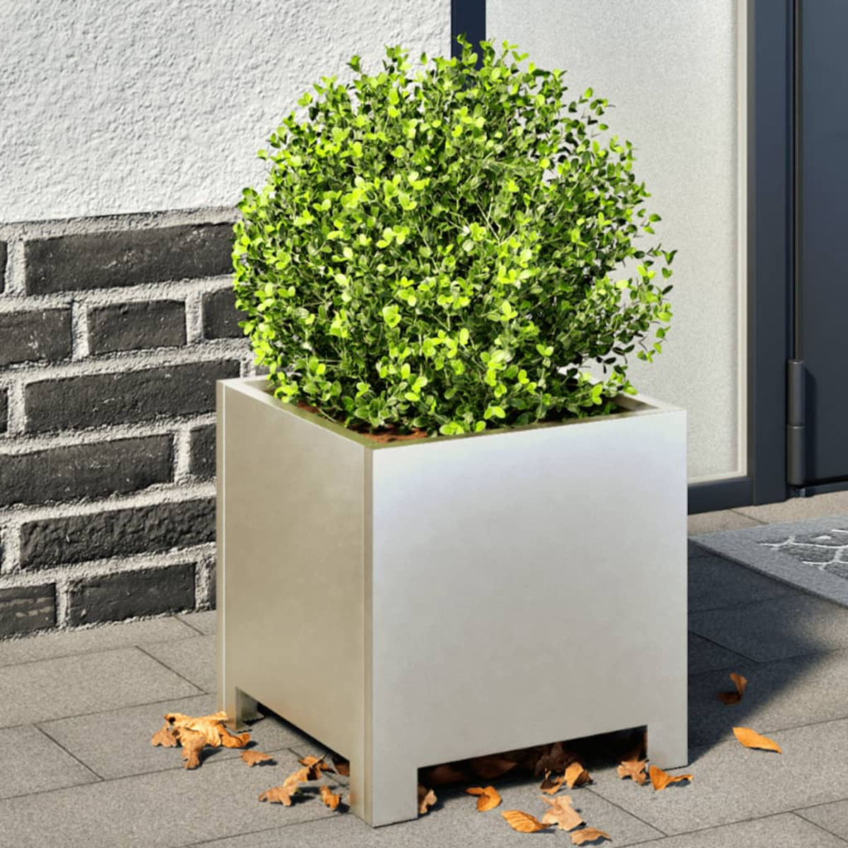 Fioriera quadrata grigio chiaro con un cespuglio verde. Lo sfondo è un muro di mattoni e una porta.
