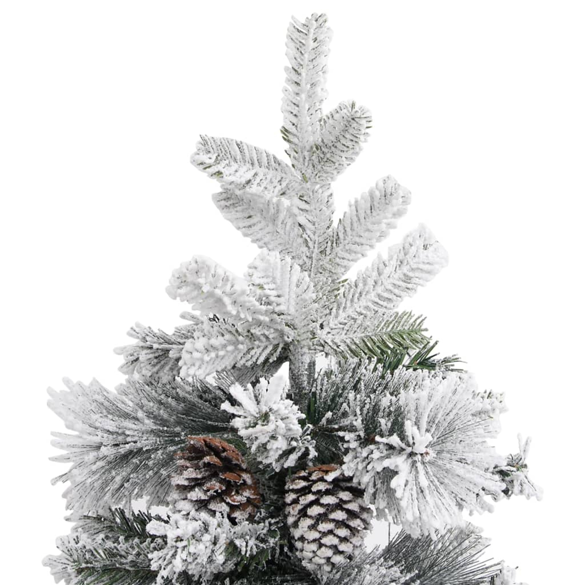 Nahaufnahme eines schneebedeckten Kiefernbaums mit Tannenzapfen. Weißer Hintergrund.