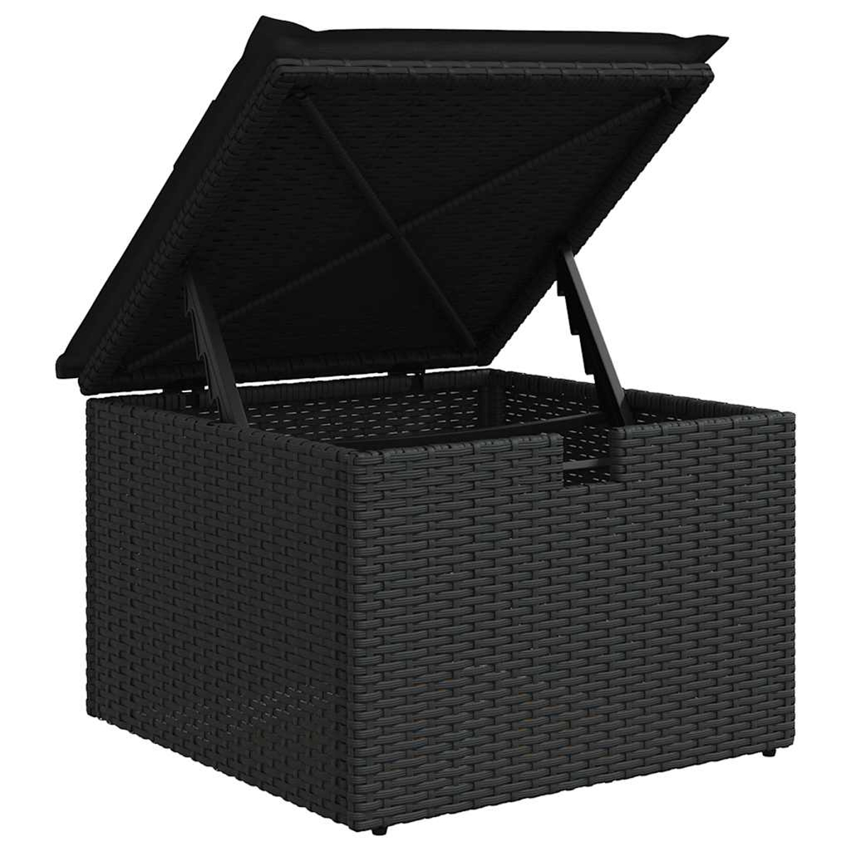 Contenitore nero per esterni con coperchio sollevato, che rivela l'interno, su sfondo bianco.